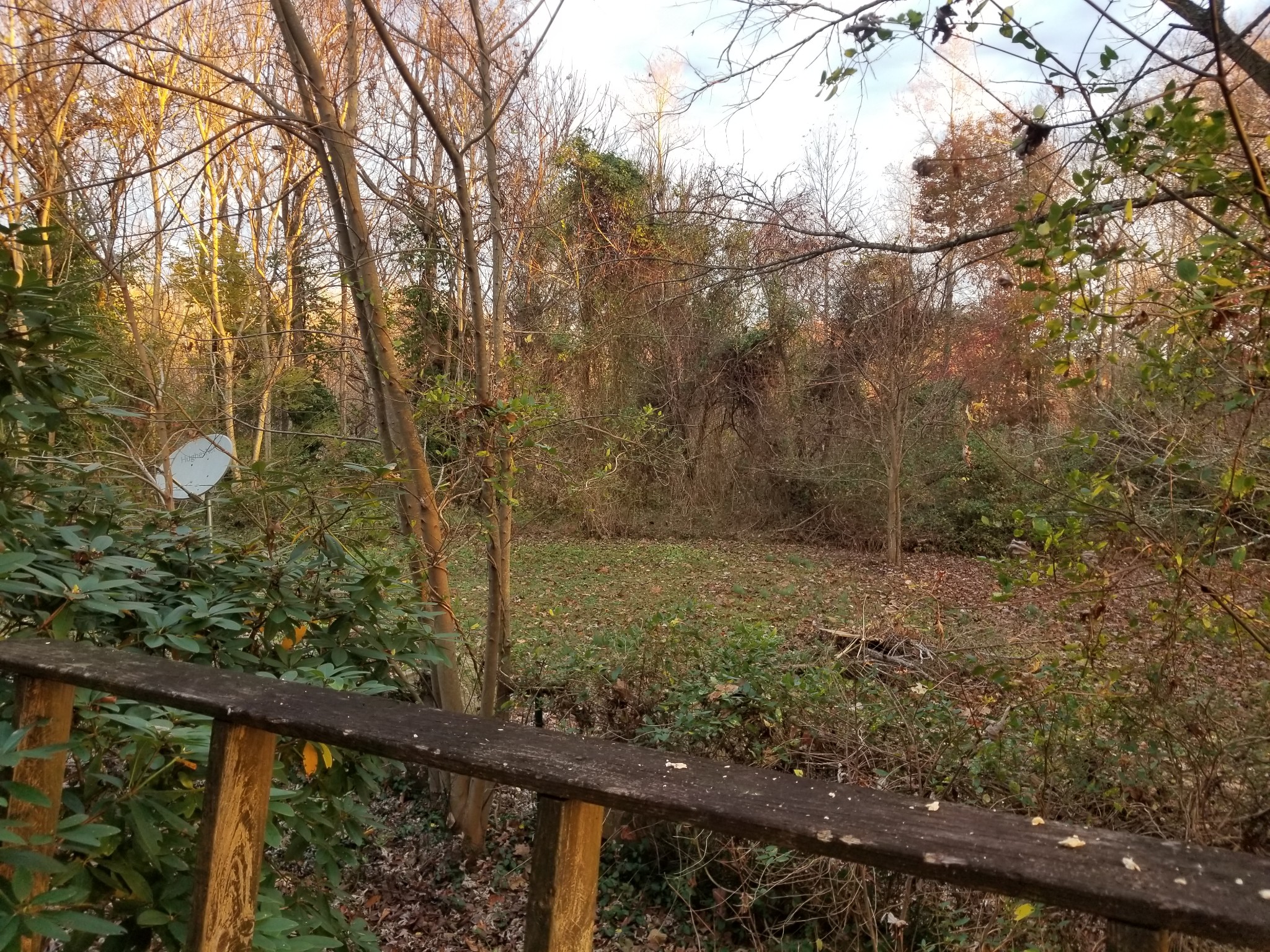 440 Austin Lake Road Baxter, TN 38544 - Photo 21 of 32 Gallery Image 21
