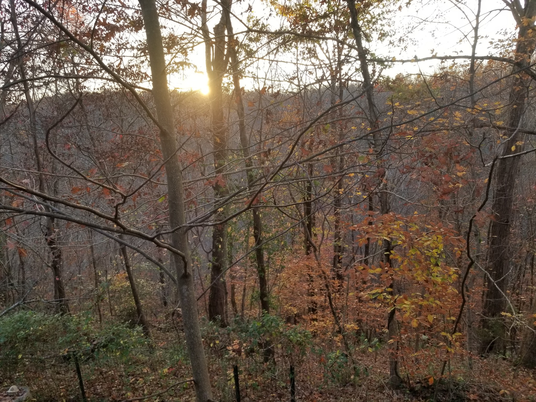 440 Austin Lake Road Baxter, TN 38544 - Photo 22 of 32 Gallery Image 22