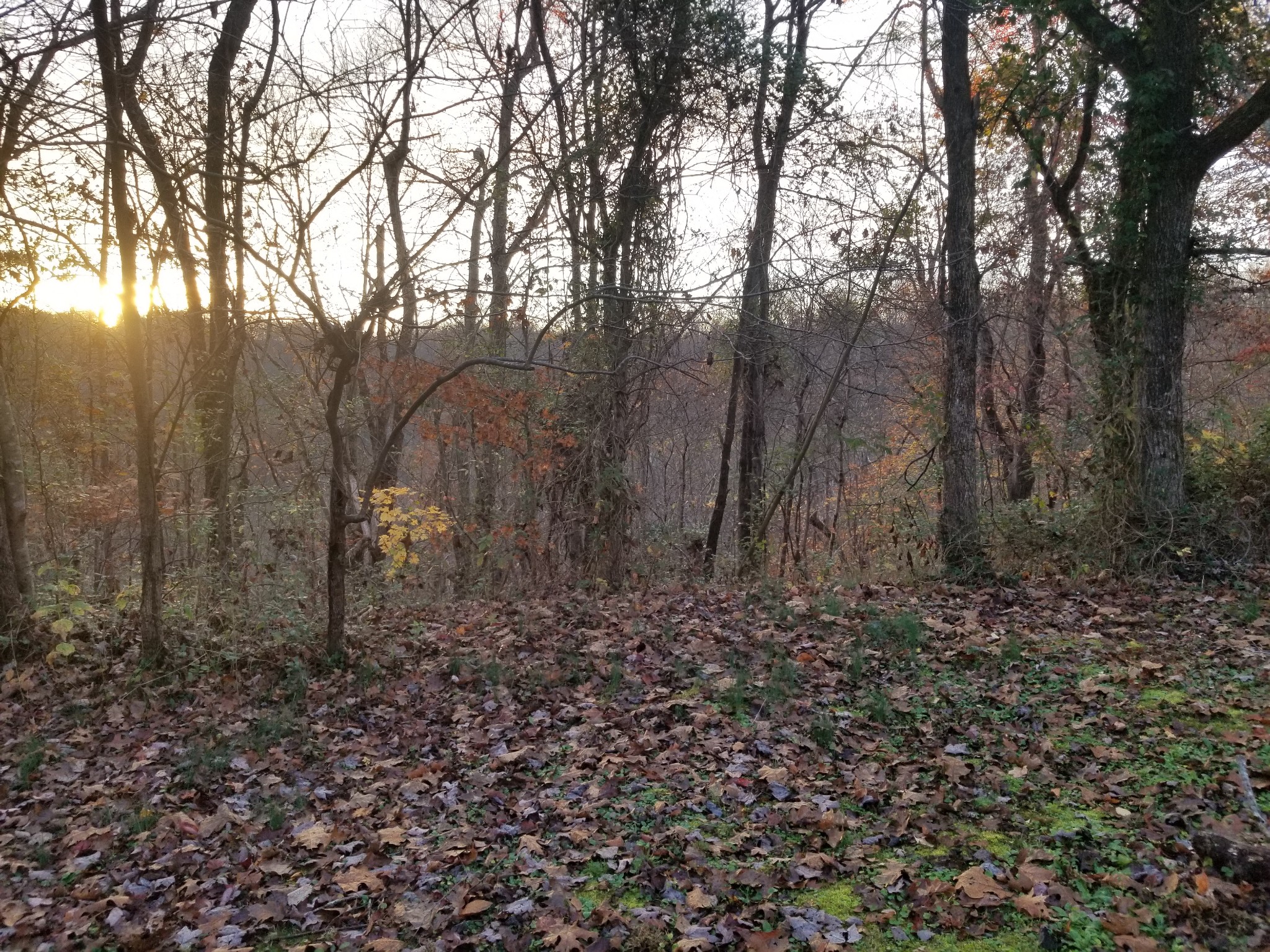 440 Austin Lake Road Baxter, TN 38544 - Photo 23 of 32 Gallery Image 23