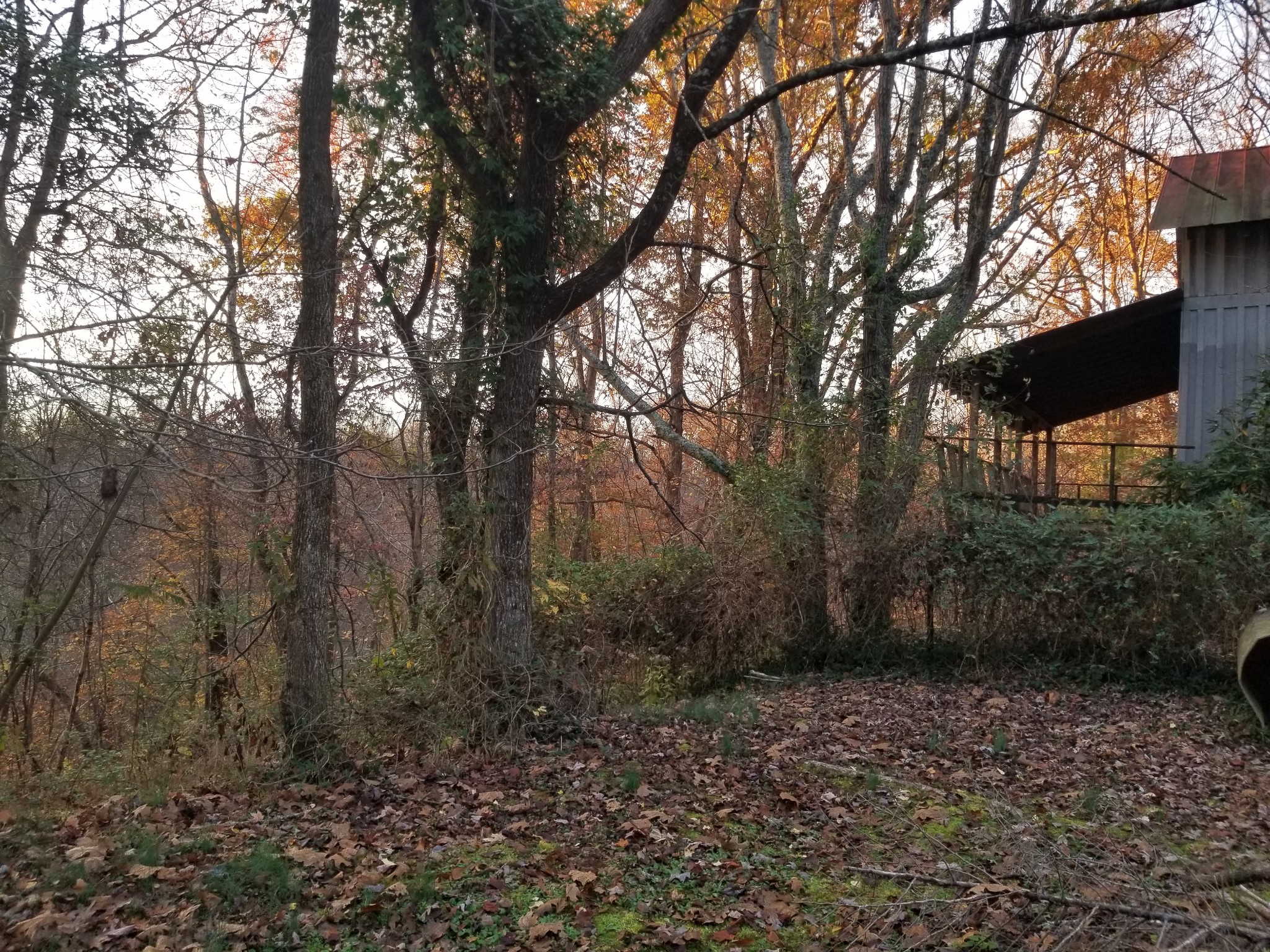 440 Austin Lake Road Baxter, TN 38544 - Photo 24 of 32 Gallery Image 24