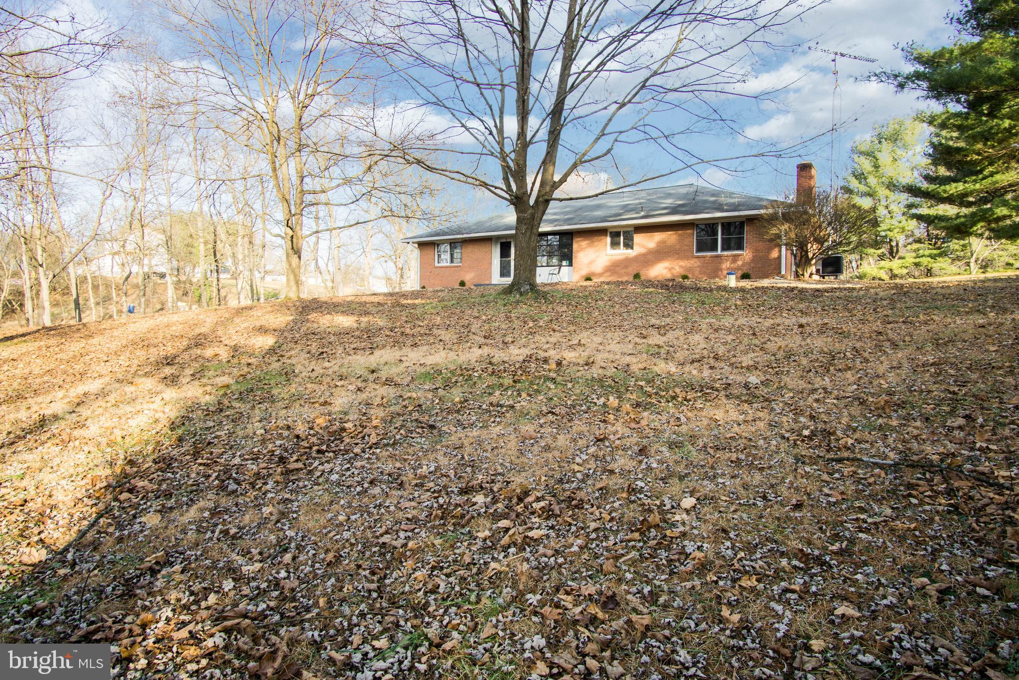 12309 Walnut Point Road Hagerstown, MD 21740 - Photo 37 of 38 View from the front Pic 5
