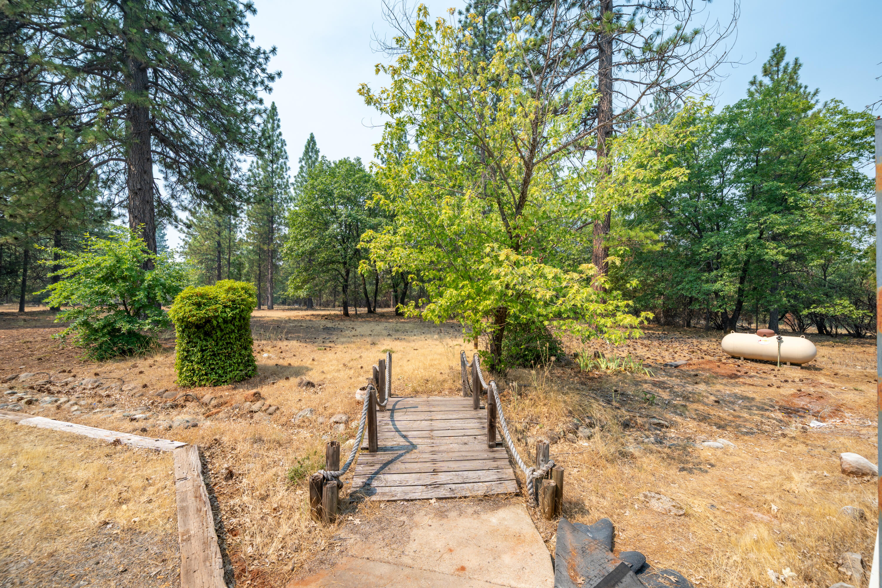 29061 South Cow Creek Road Whitmore, CA 96096 - Photo 21 of 27 a view of a yard with plants and trees