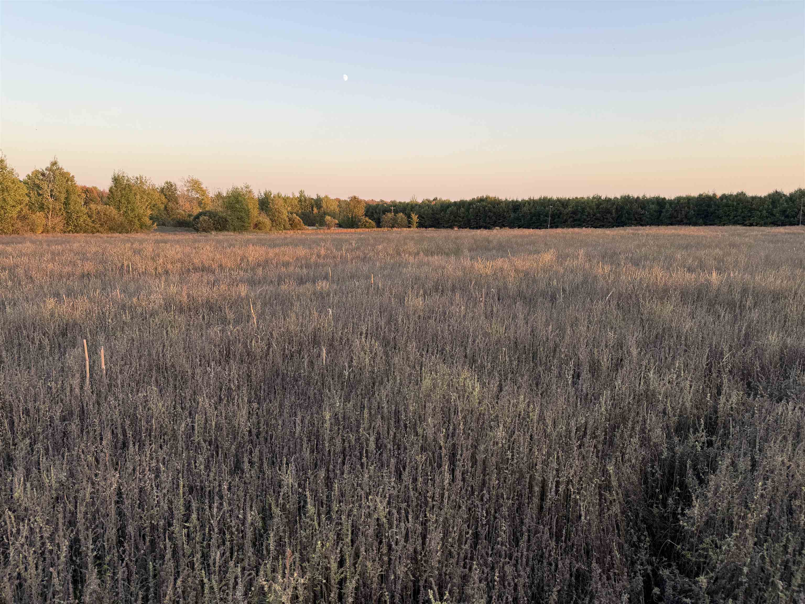 Lot 1 County Road Z Ringle, WI 54471 - Photo 2 of 17