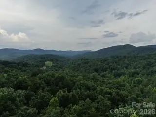 a view of a forest filled with trees