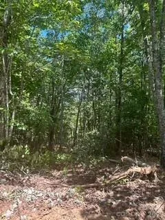 $280,000 | 0 Duck Creek Road, Lenoir, NC 28645
