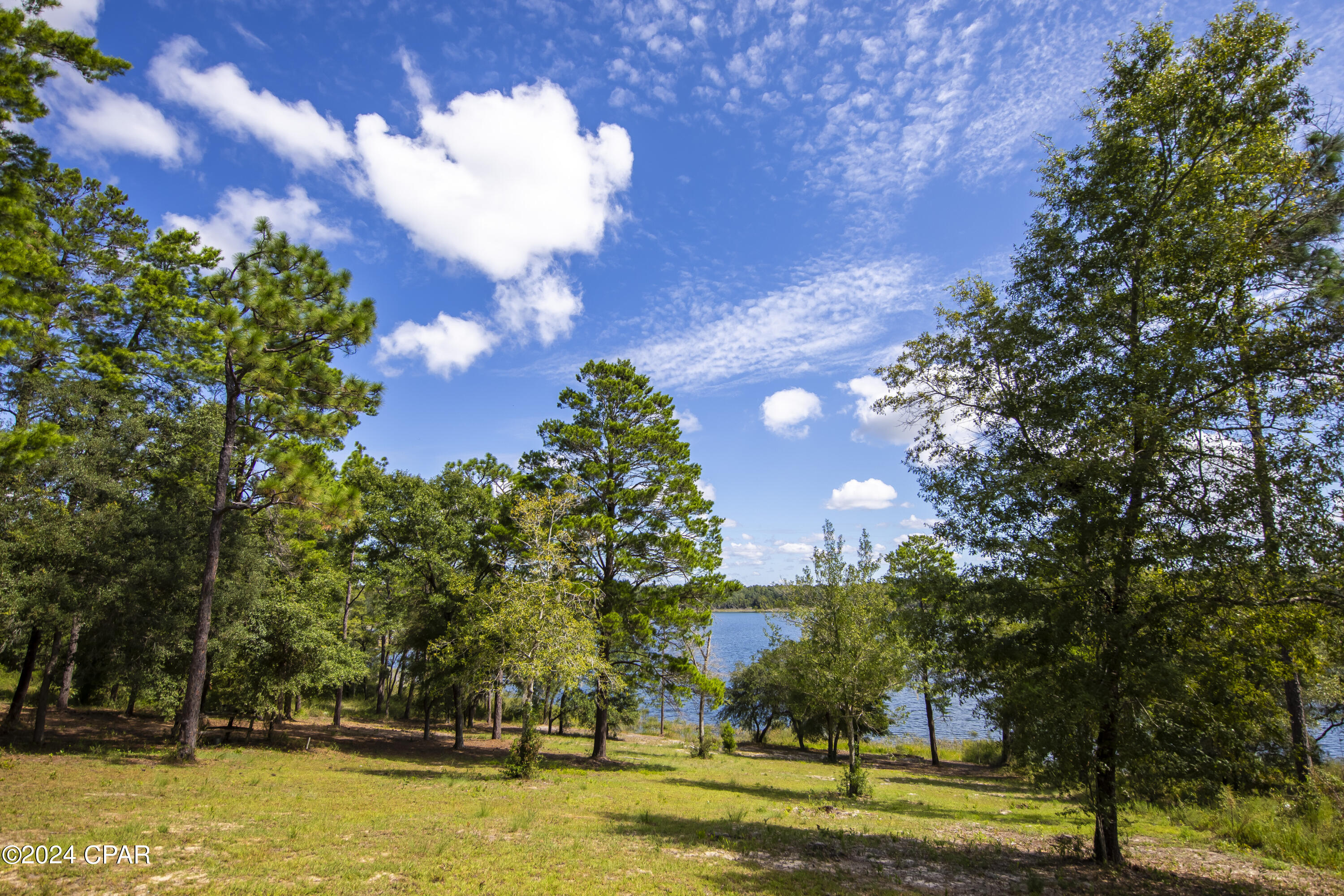 3491 Quail Ridge Drive Chipley, FL 32428 - Photo 8 of 51