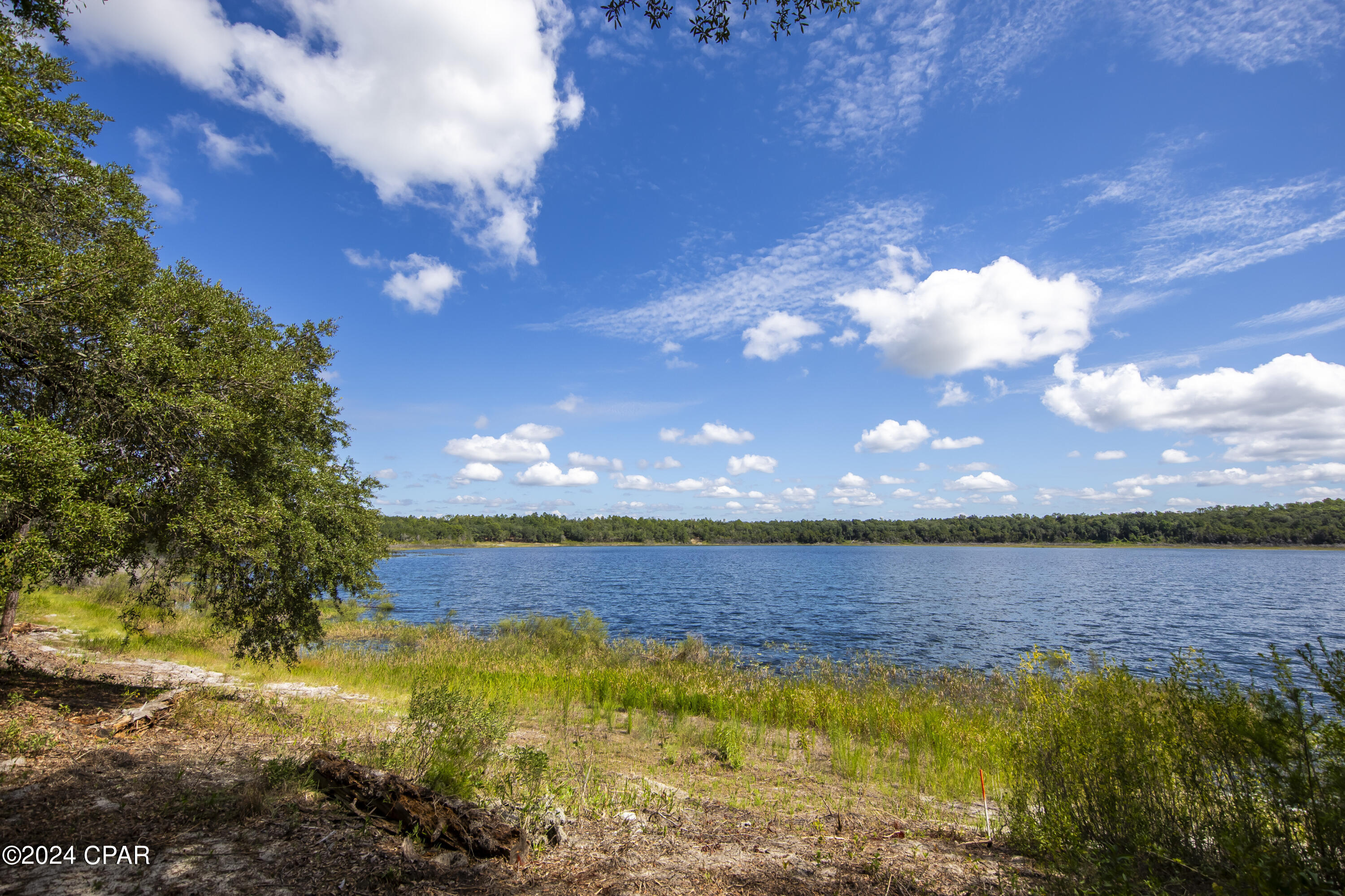 3491 Quail Ridge Drive Chipley, FL 32428 - Photo 9 of 51
