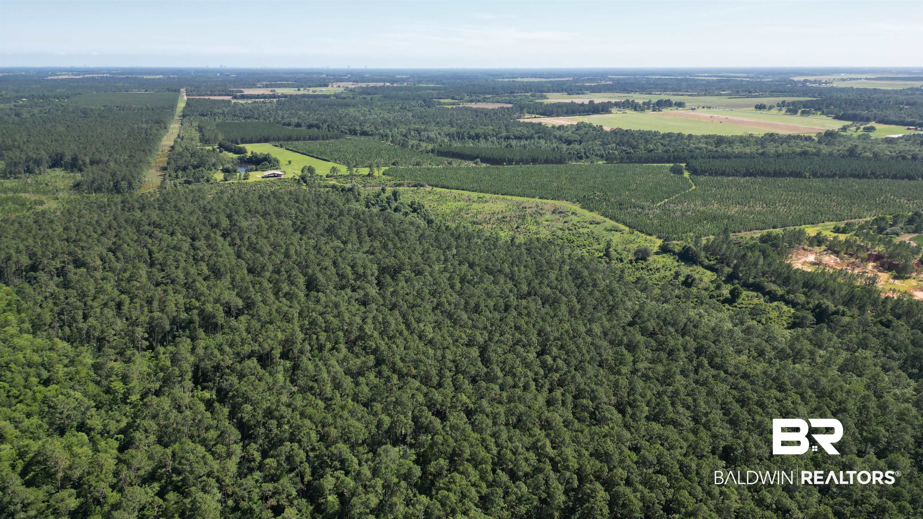 0 County Road 87 Elberta, AL 36530 - Photo 15 of 46