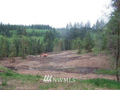 134 A Grimes Road Centralia, WA 98531 - Photo 1 of 1 Gallery Image 1