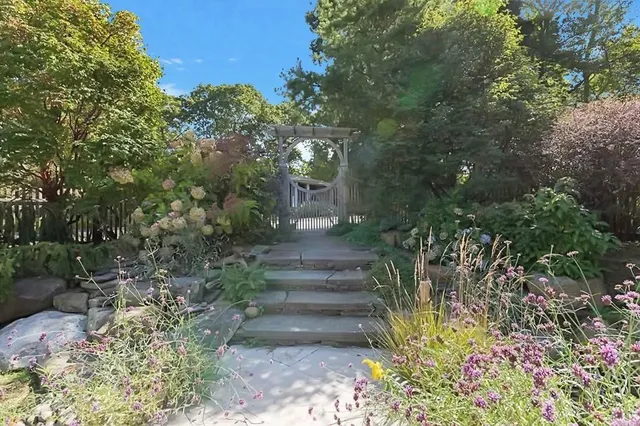 a view of path and pathway