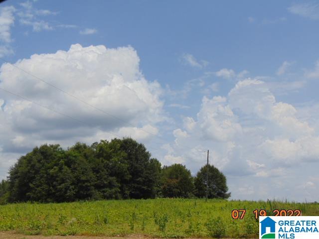 0 County Road 501 Verbena, AL 36091 - Photo 3 of 6