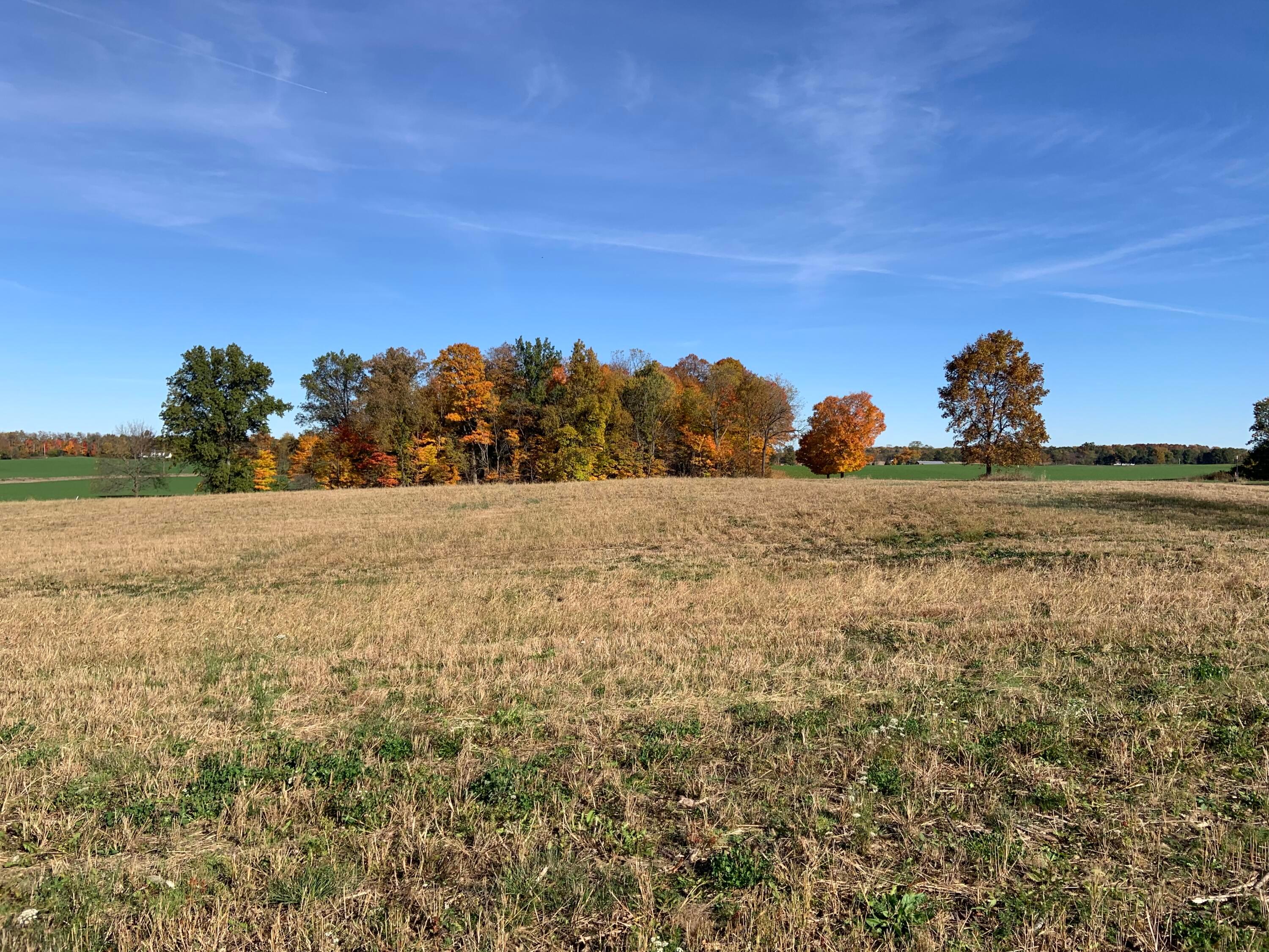 0 Twp 115 Rd Mount, Unit TRACT 7 Mount Gilead, OH 43338 - Photo 1 of 9