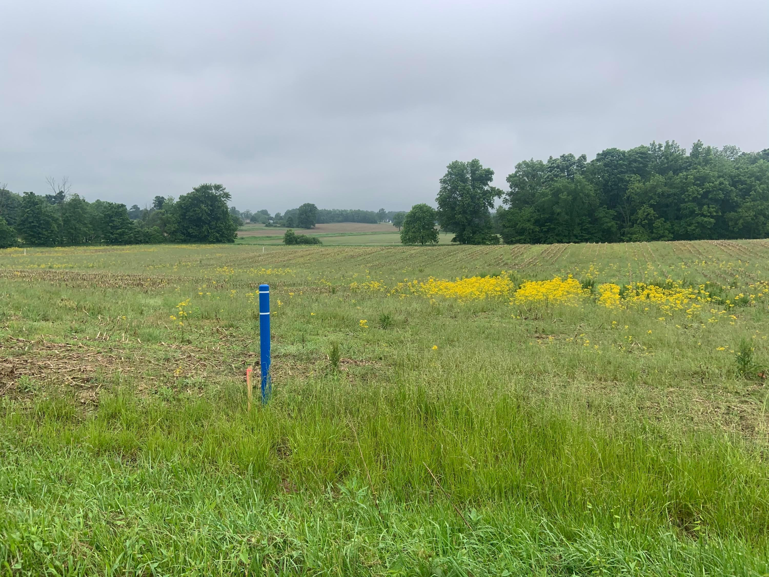 0 Twp 115 Rd Mount, Unit TRACT 7 Mount Gilead, OH 43338 - Photo 4 of 9