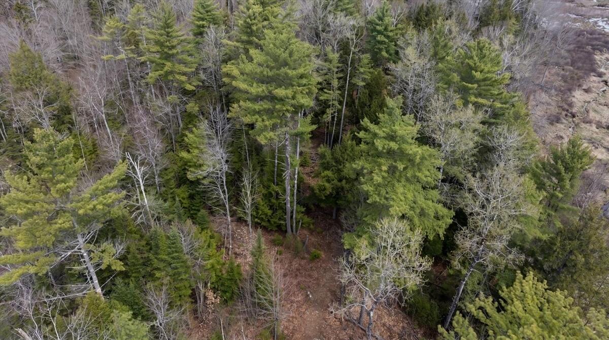 28 Trinity Way Monmouth, ME 04259 - Photo 15 of 33 09-DJI_20260504110159_0190_D_edit