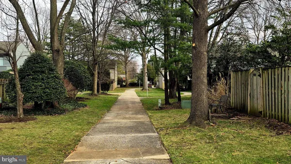 a pathway of a yard
