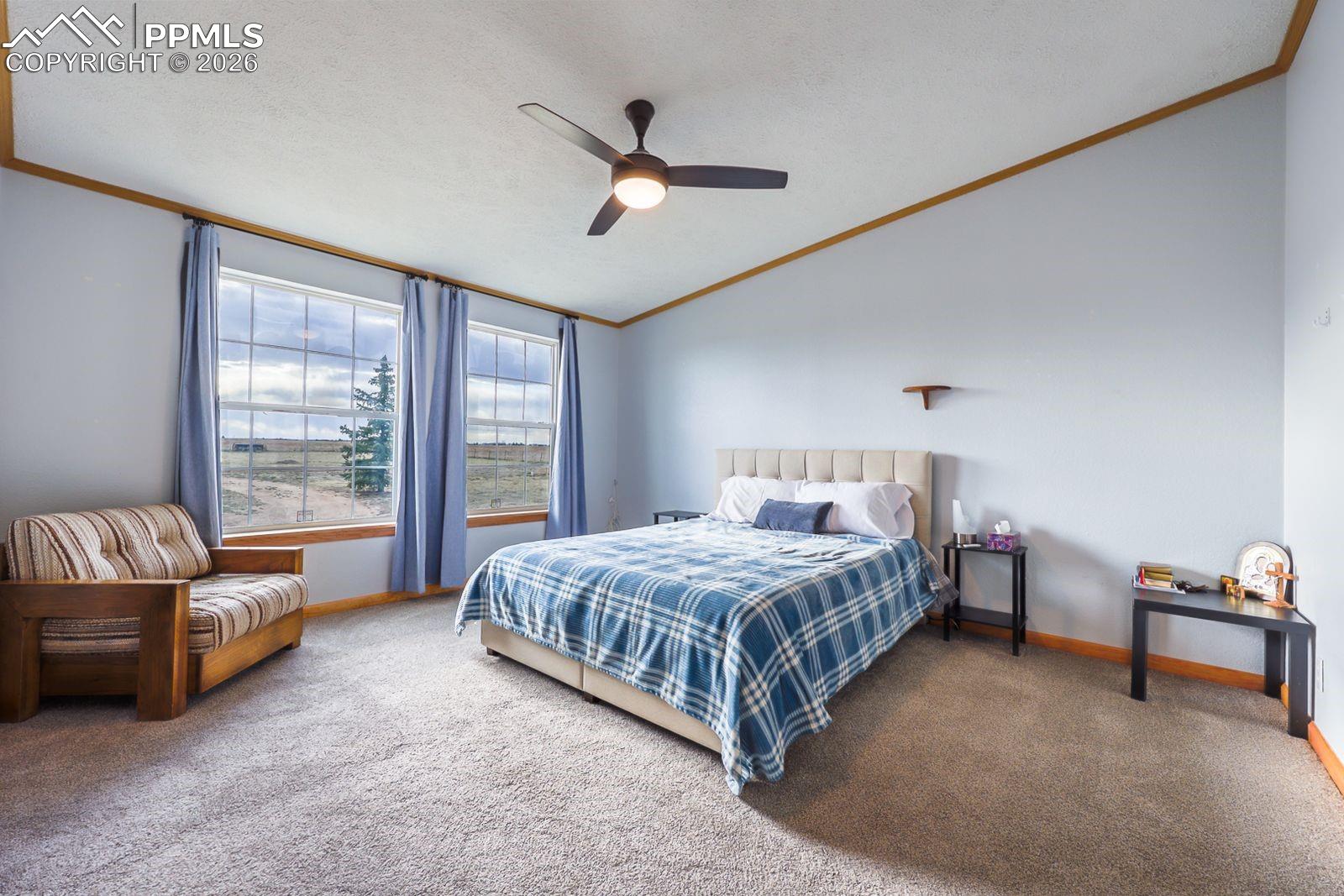 11450 North Log Road Calhan, CO 80808 - Photo 14 of 39 Primary Bedroom