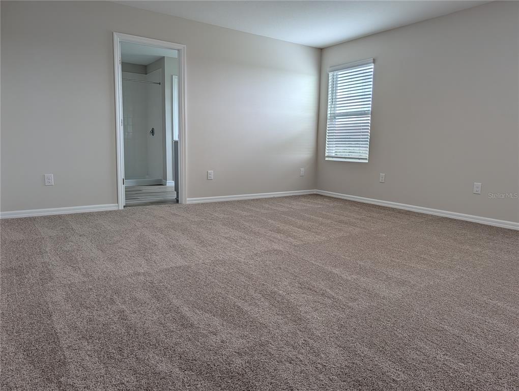 36928 Sagemoor Drive Zephyrhills, FL 33540 - Photo 13 of 27