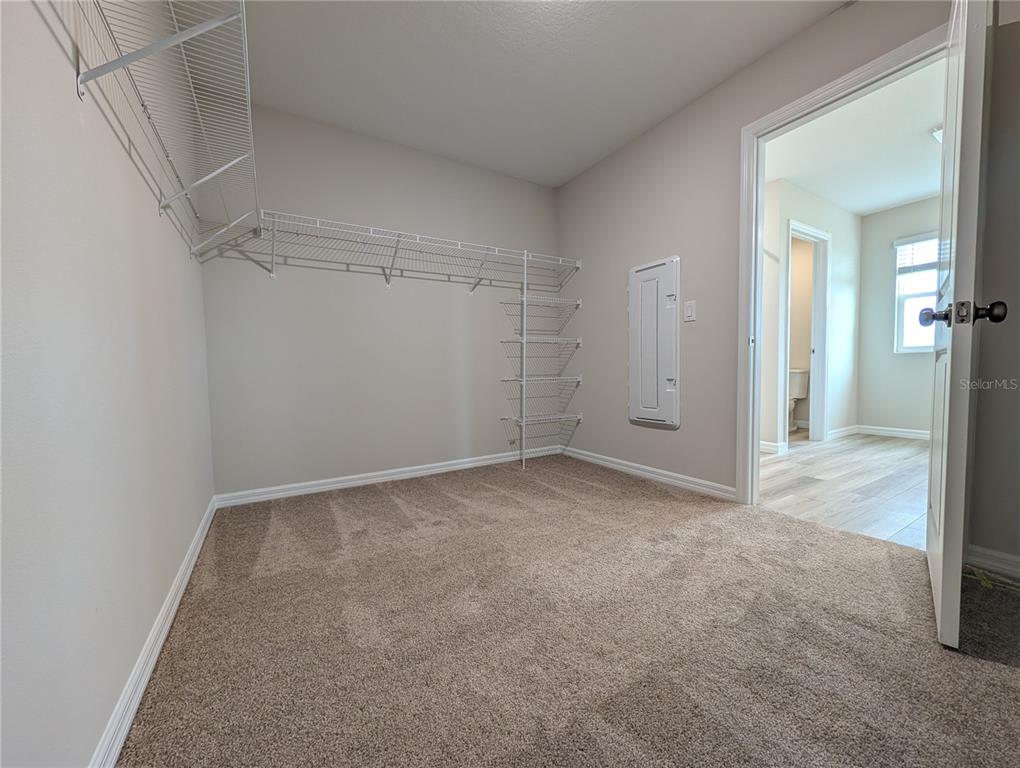 36928 Sagemoor Drive Zephyrhills, FL 33540 - Photo 15 of 27