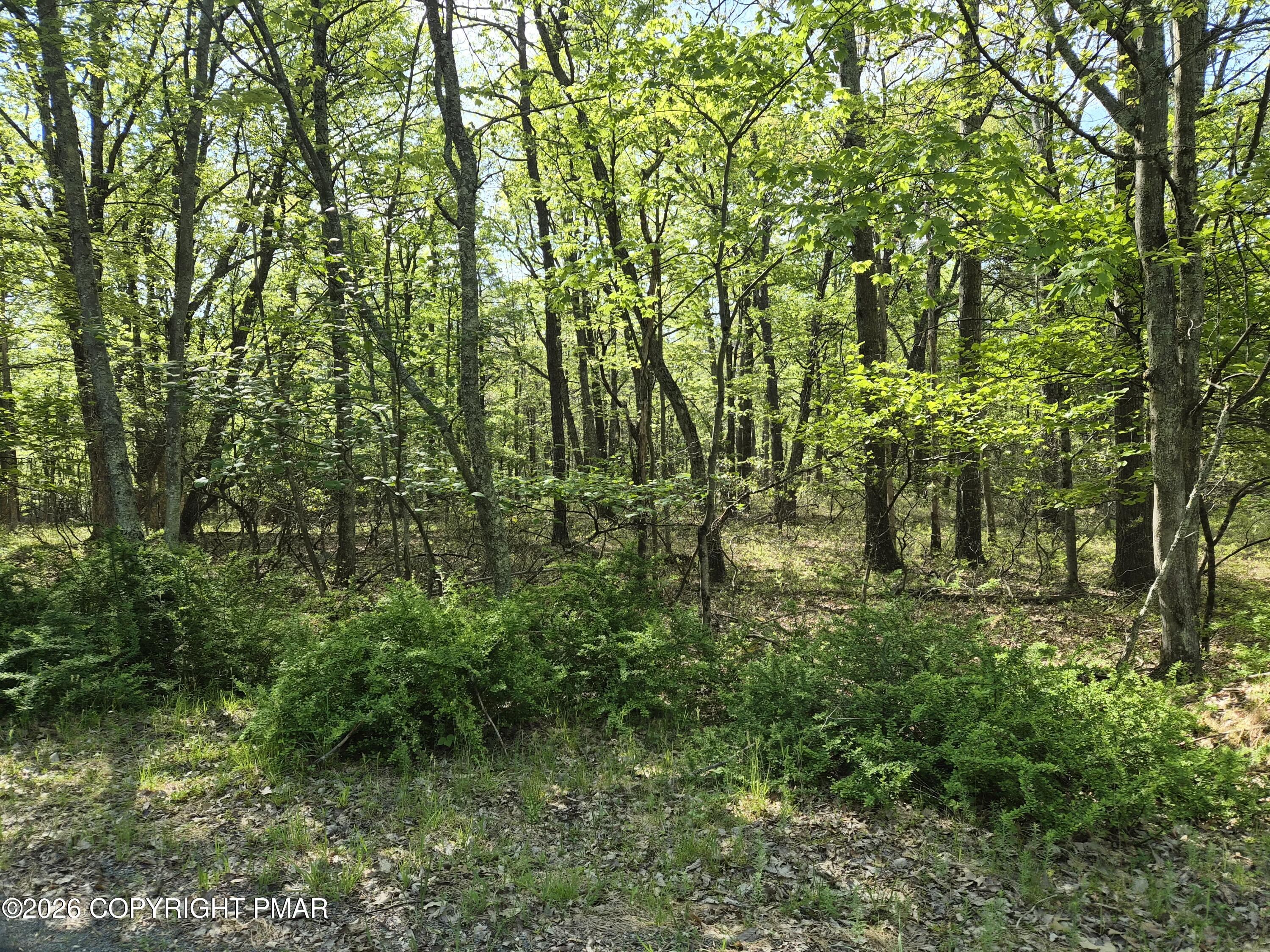Seese Hill Road Canadensis, PA 18325 - Photo 3 of 6 Lot 7 Lower Seese Hill Road