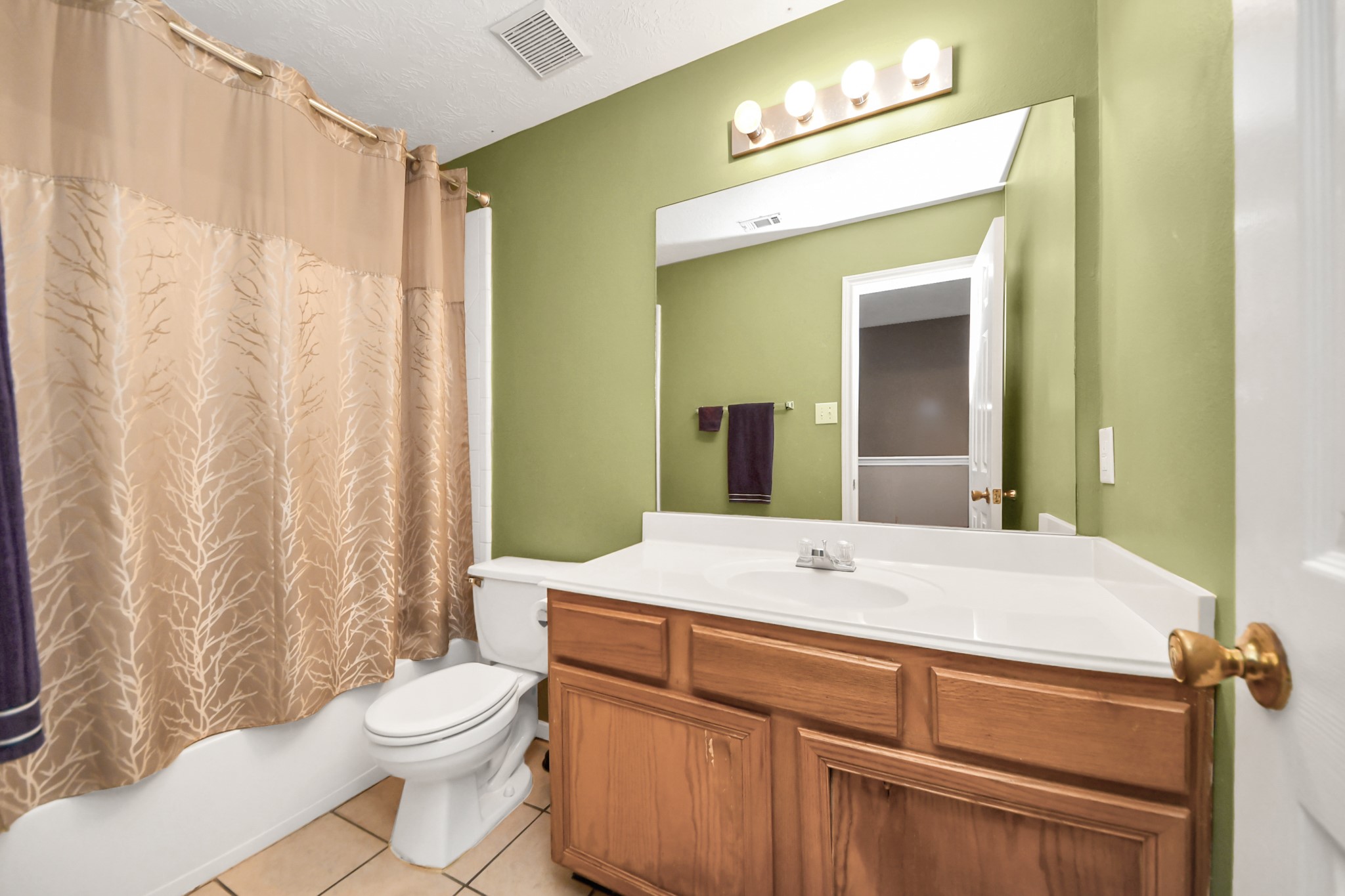 23814 Spring Dane Drive Spring, TX 77373 - Photo 37 of 41 a bathroom with a sink a toilet and shower
