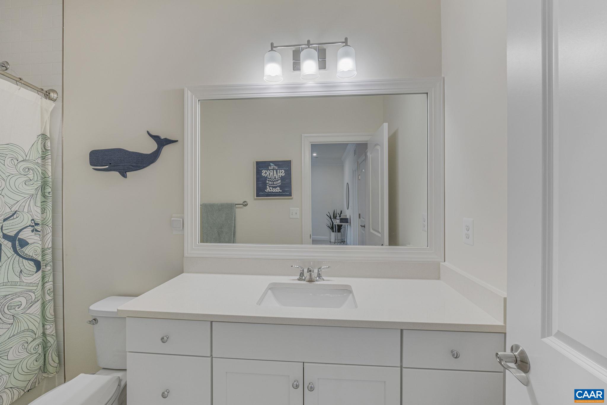 3624 Osprey Drive Keswick, VA 22947 - Photo 48 of 68 a bathroom with a sink and a mirror