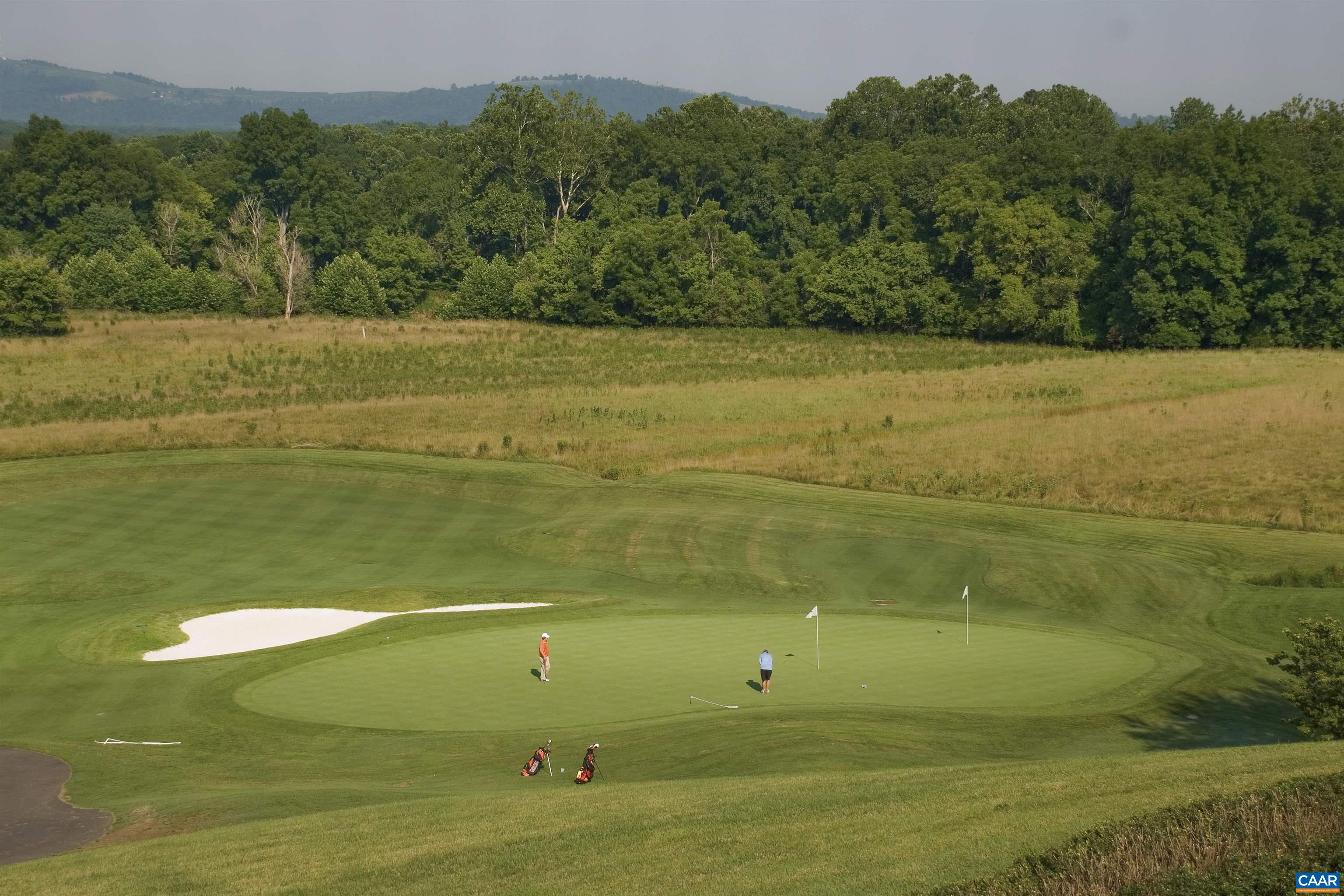 3624 Osprey Drive Keswick, VA 22947 - Photo 66 of 68