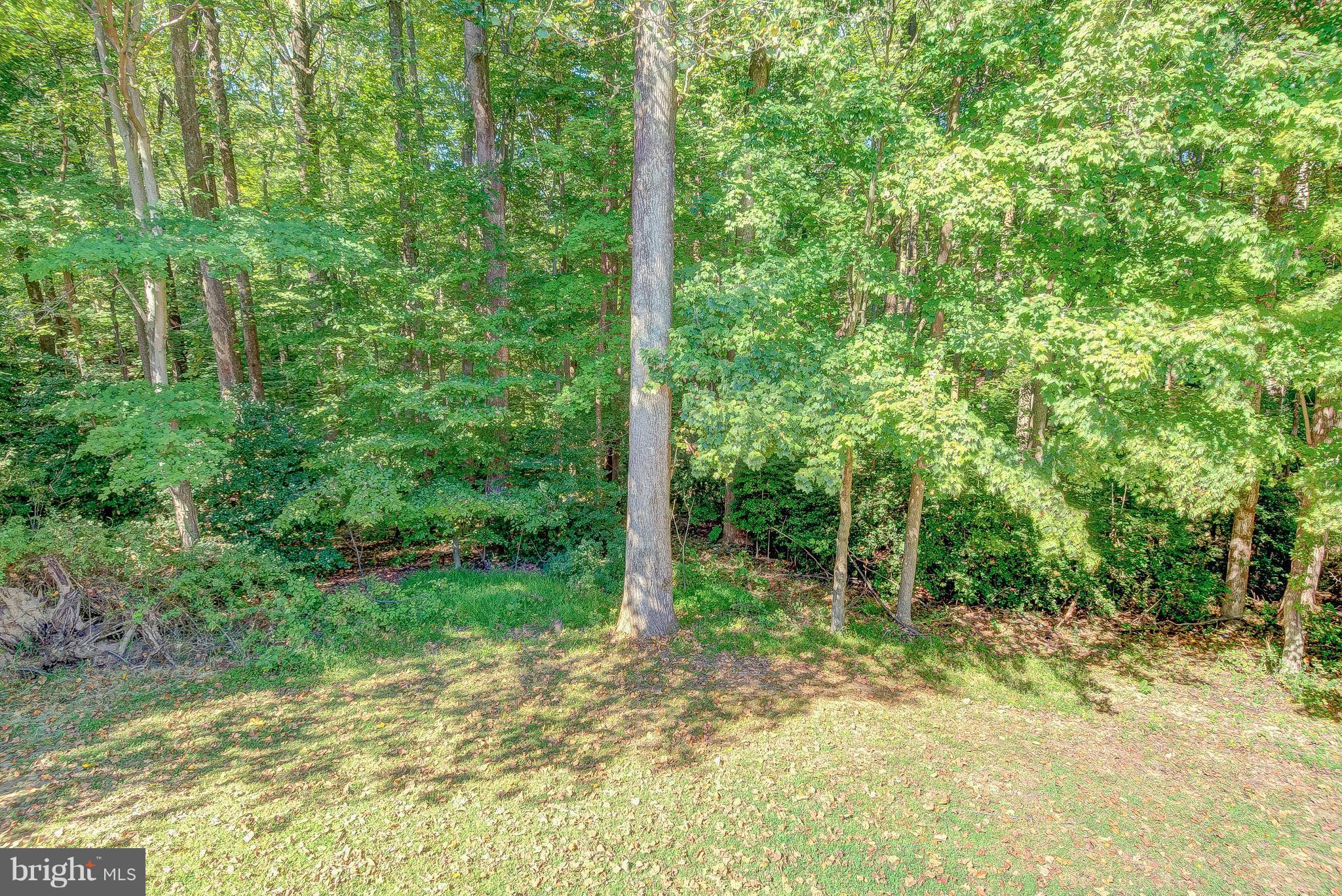 4331 Williams Wharf Road St. Leonard, MD 20685 - Photo 5 of 30 Very Private