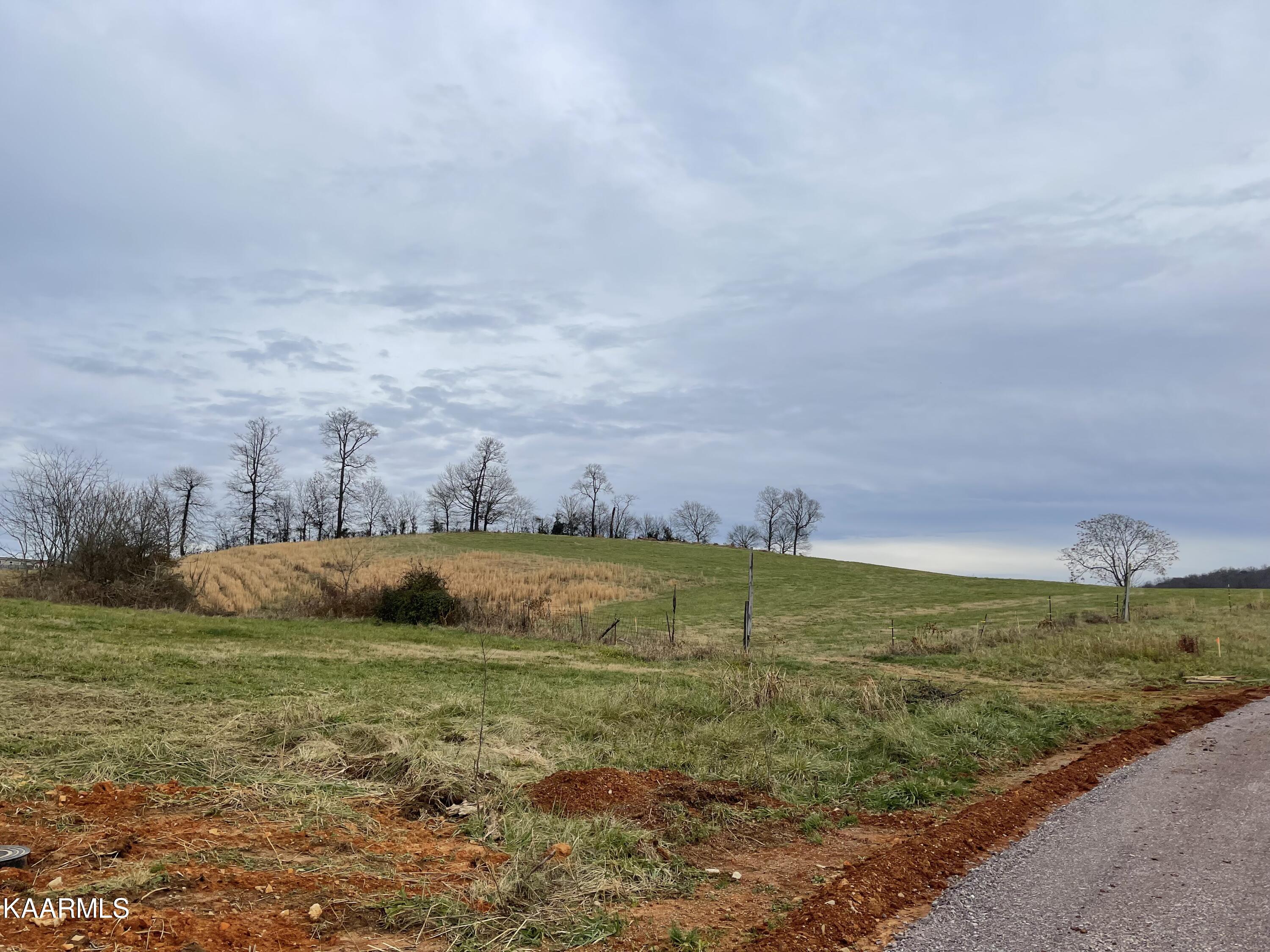Lot 79 Howell River Road Rutledge, TN 37861 - Photo 3 of 3 IMG_4088