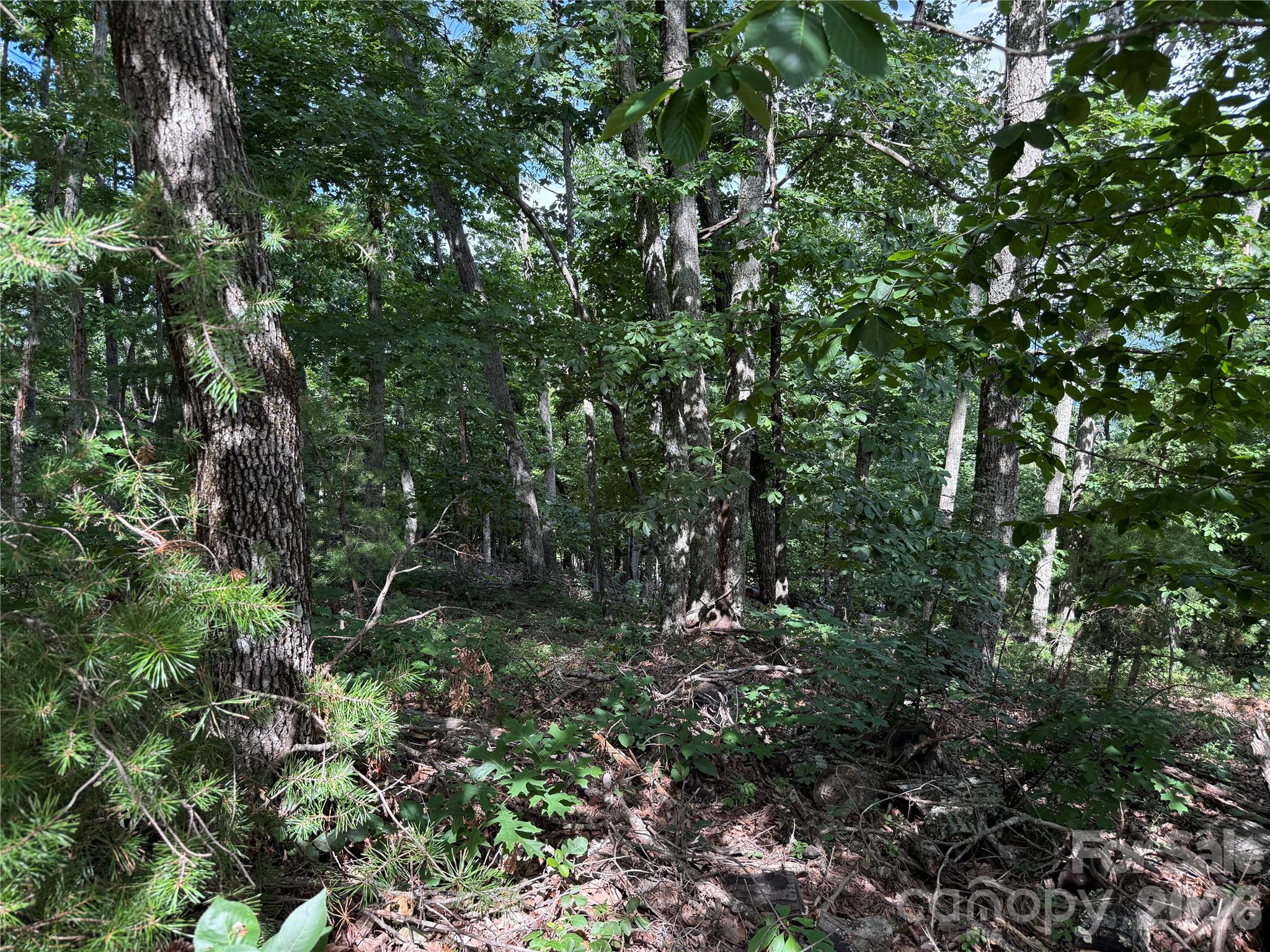 0 Arbra Mountain Road, Unit 54 Bostic, NC 28018 - Photo 7 of 11