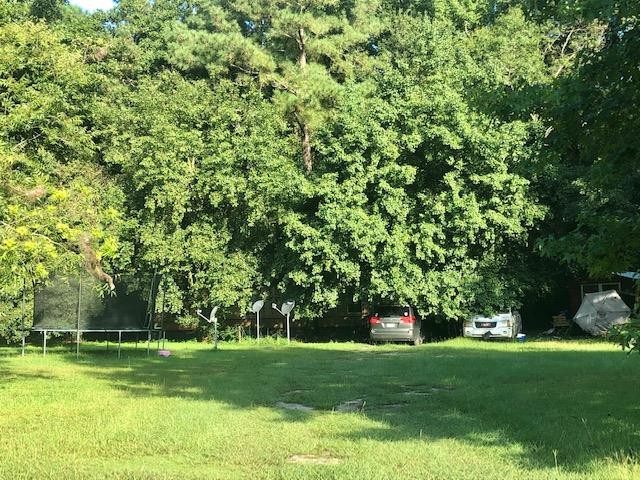 1522 Binnicker Bridge Road Cope, SC 29038 - Photo 8 of 13 Photo 8