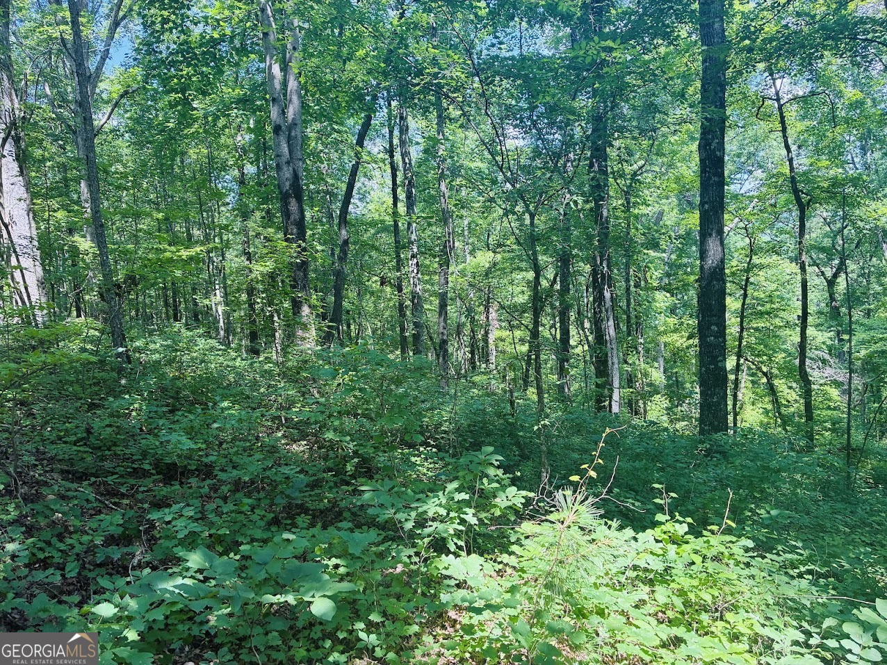 0 Forest Glen Road, Unit A Sylacauga, AL 35151 - Photo 26 of 34