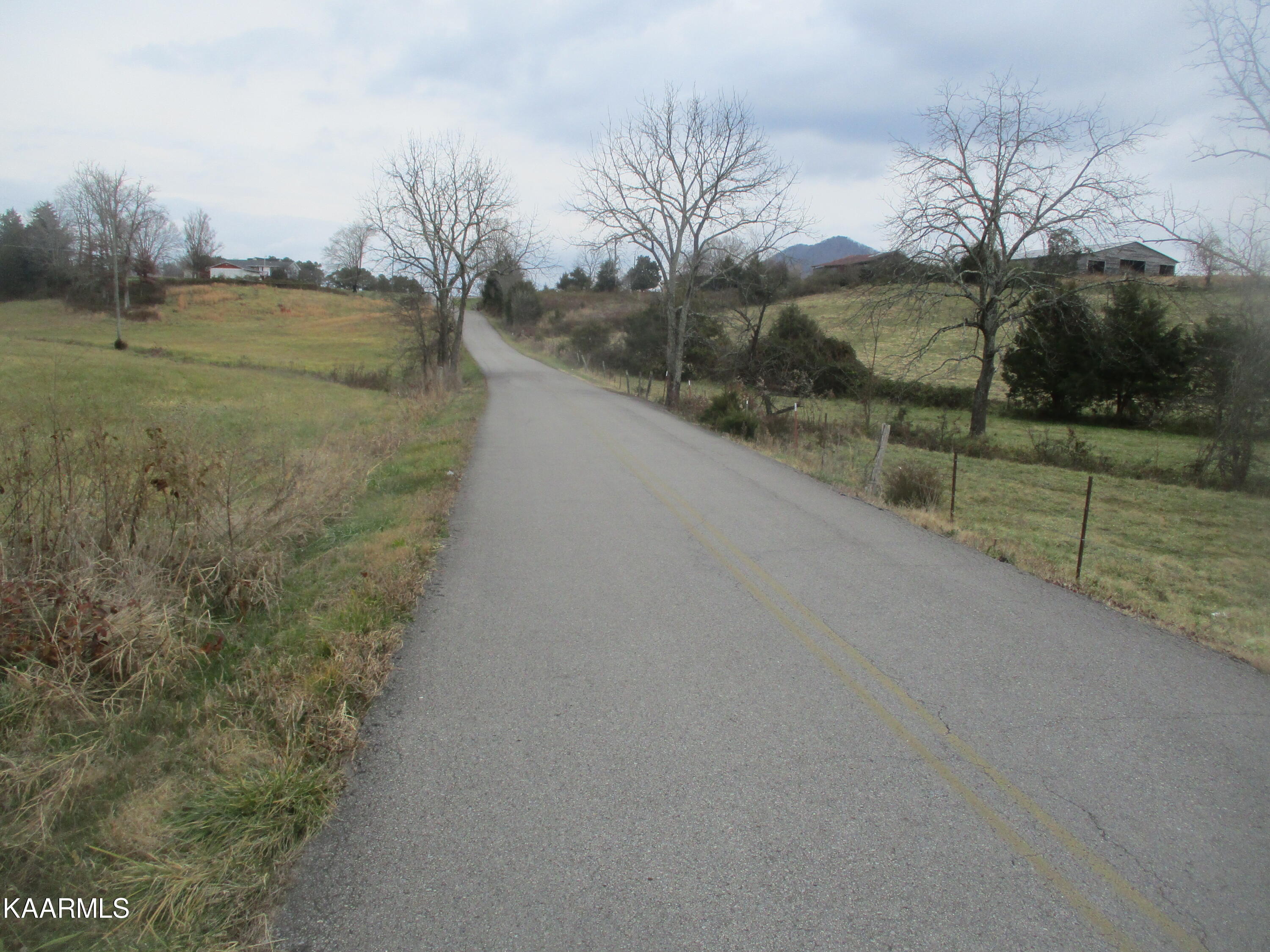 Bud Hawkins Road Corryton, TN 37721 - Photo 11 of 11 IMG_7213