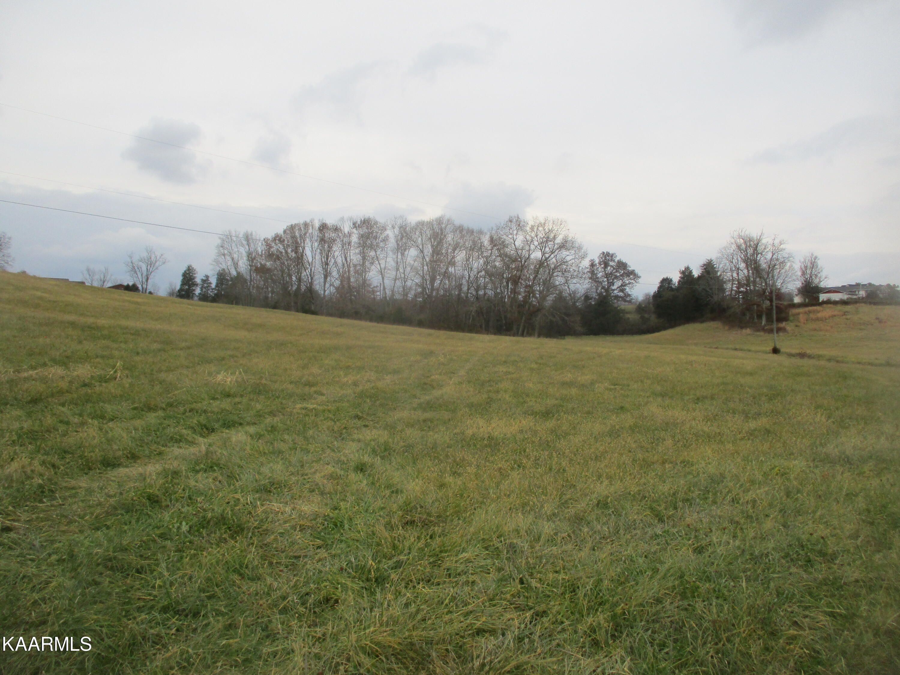 Bud Hawkins Road Corryton, TN 37721 - Photo 3 of 11 IMG_7214