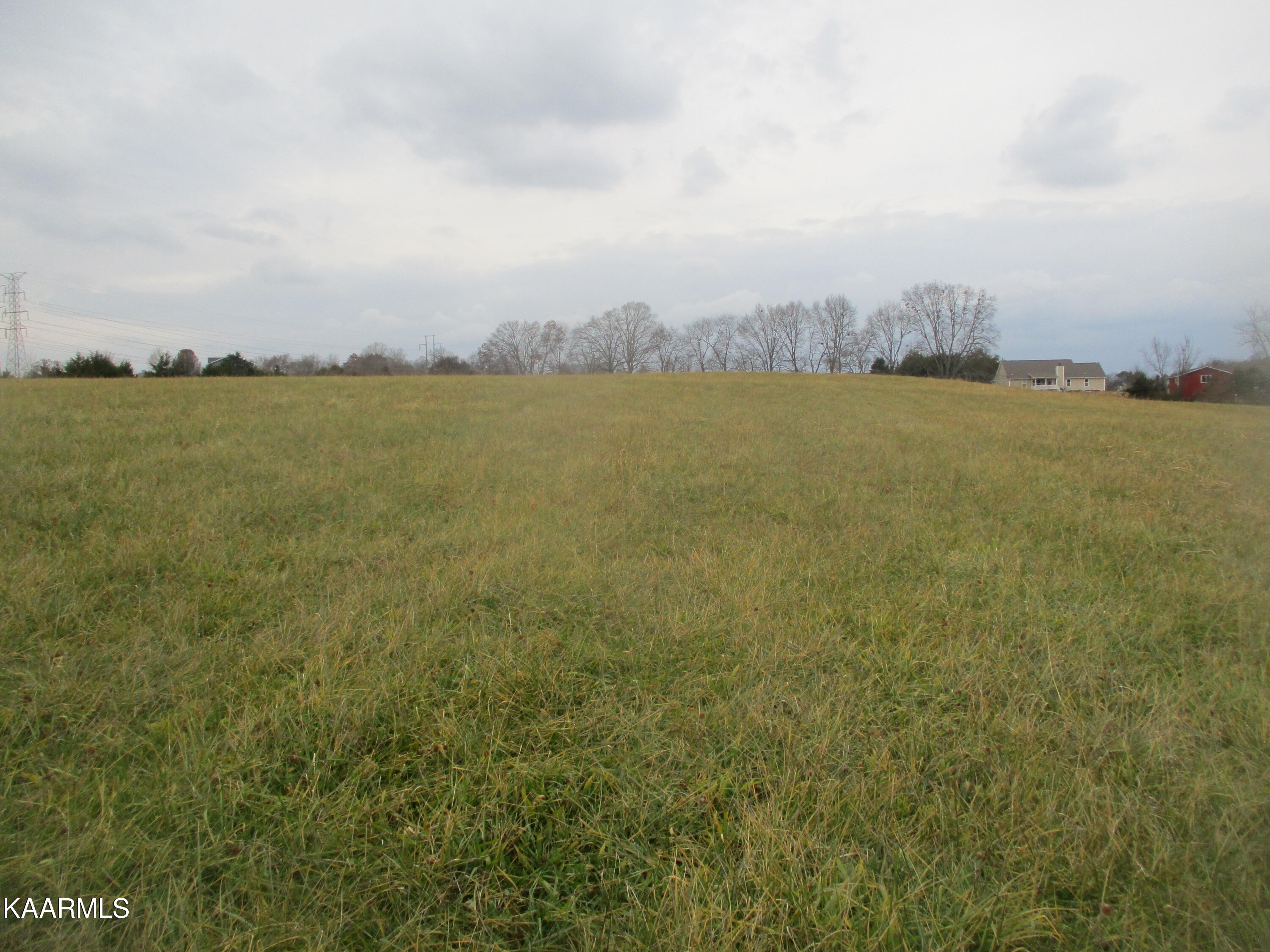 Bud Hawkins Road Corryton, TN 37721 - Photo 6 of 11 IMG_7217