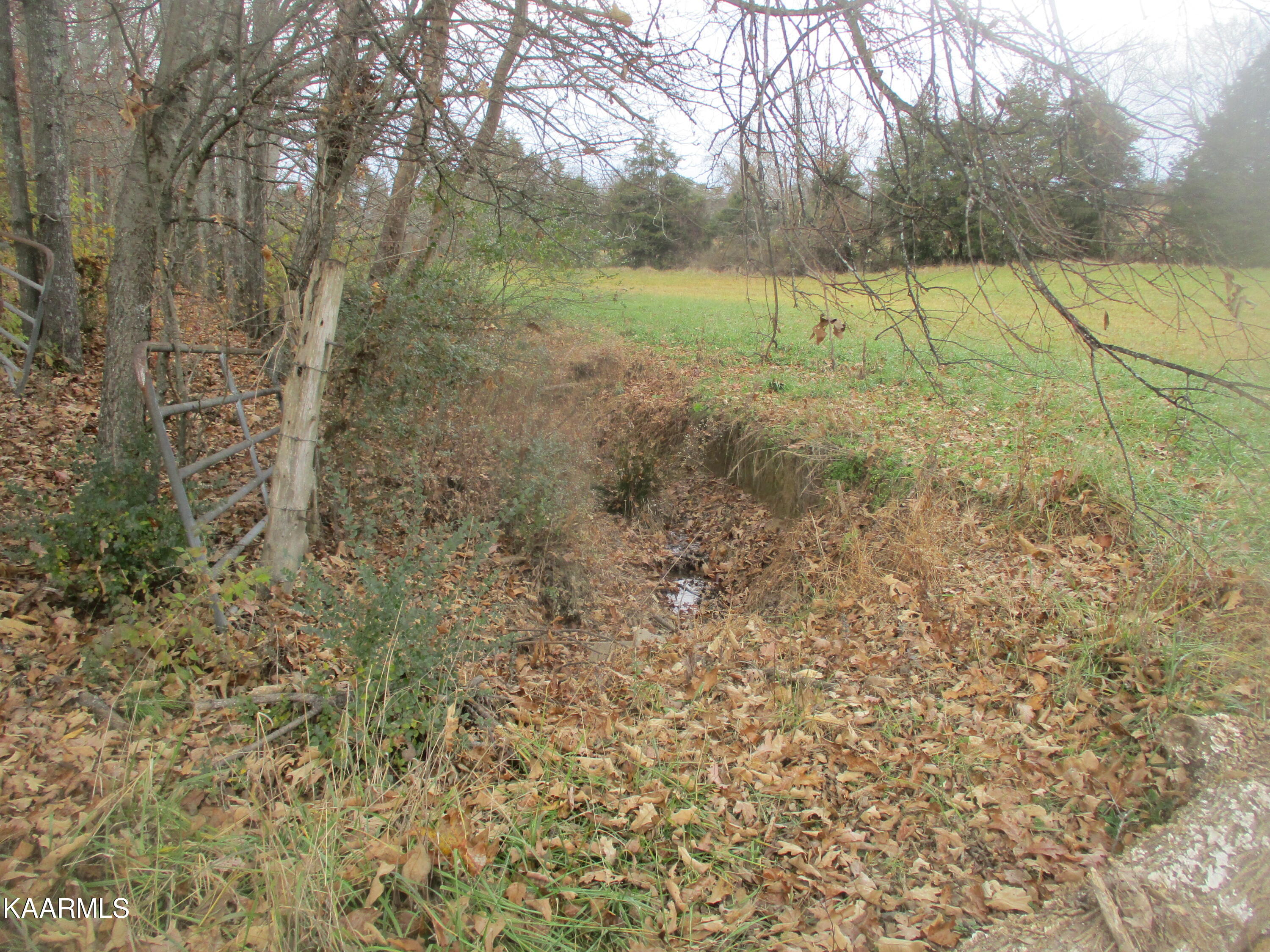 Bud Hawkins Road Corryton, TN 37721 - Photo 8 of 11 IMG_7220