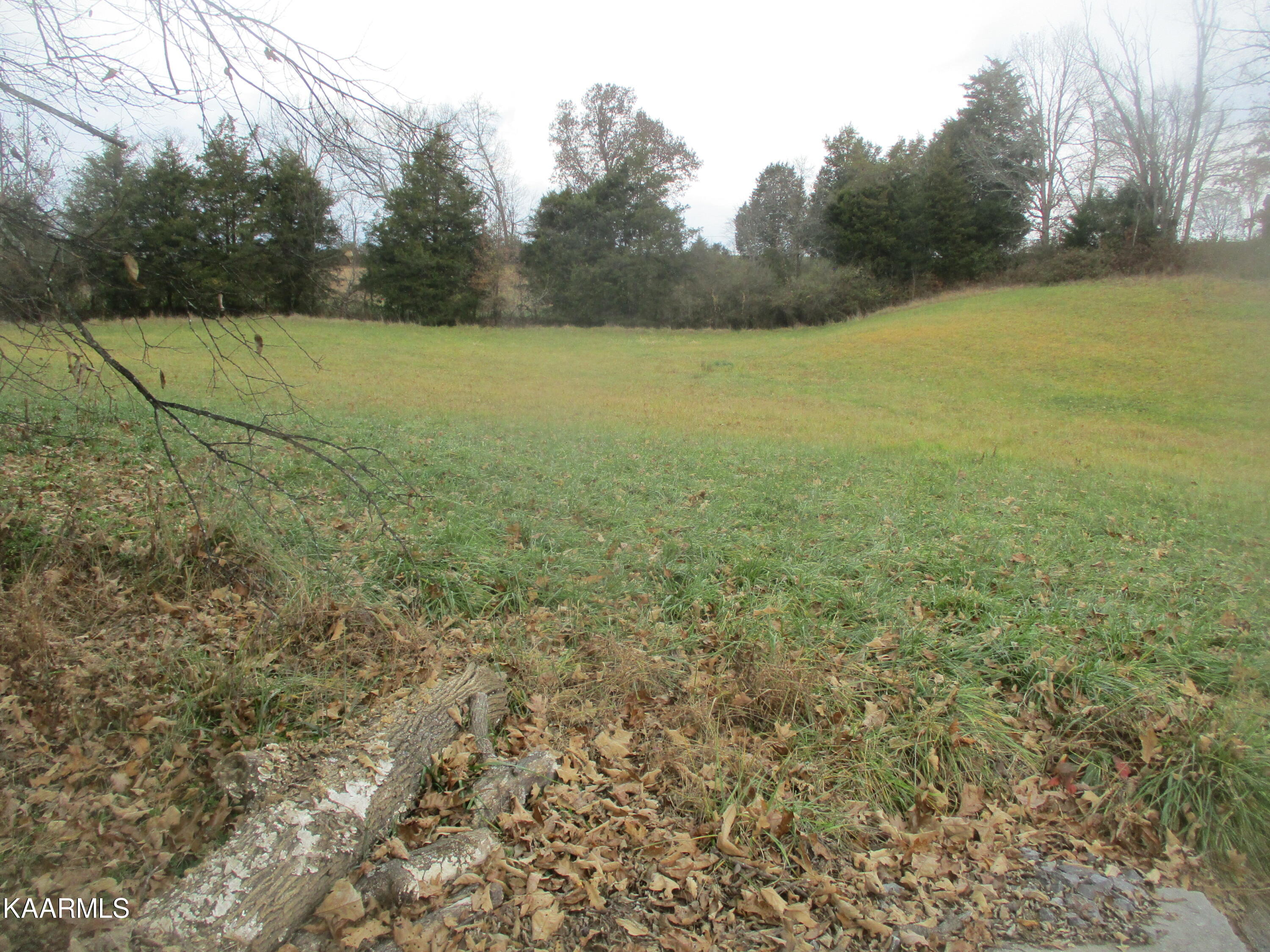 Bud Hawkins Road Corryton, TN 37721 - Photo 9 of 11 IMG_7221