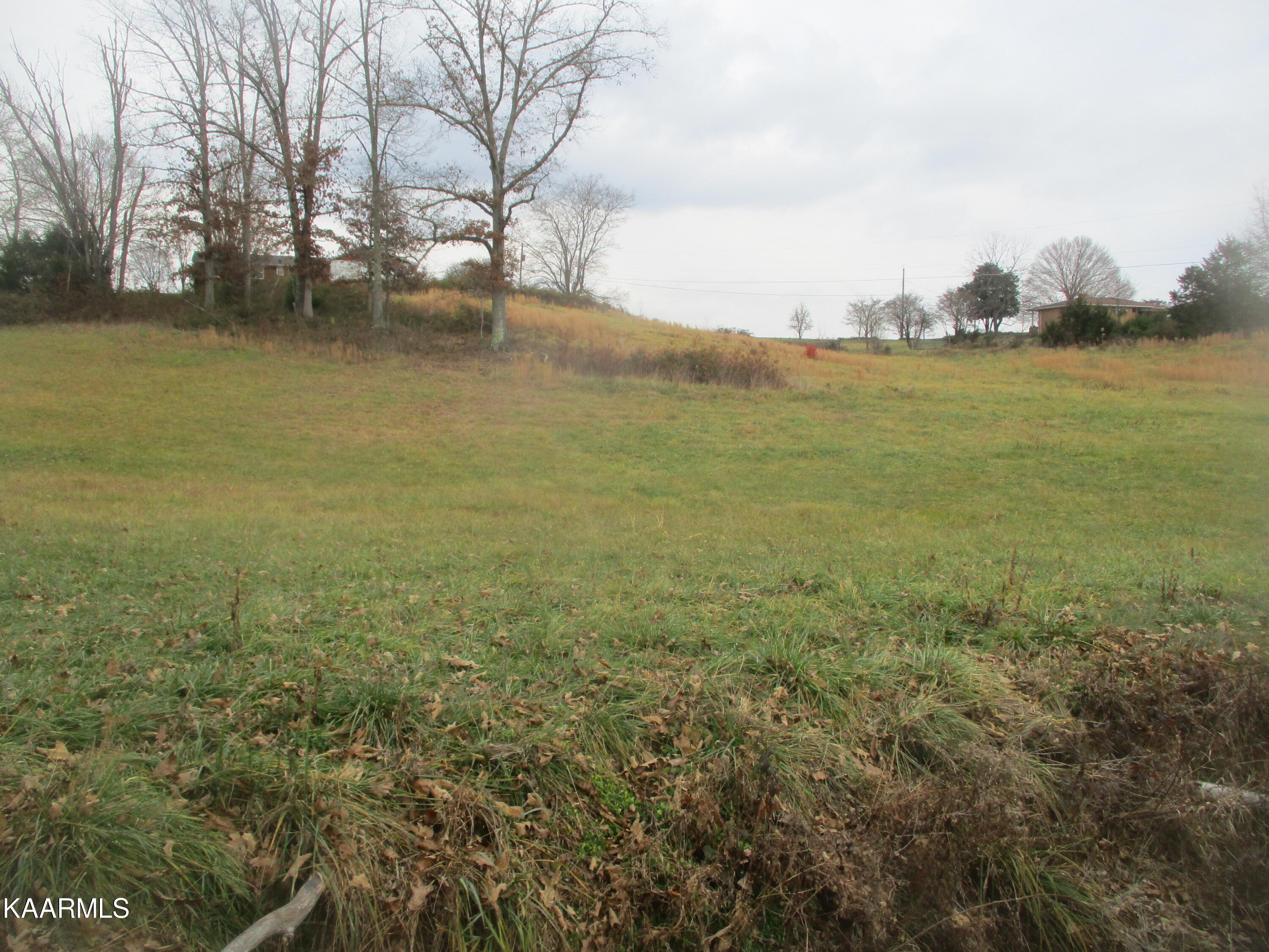 Bud Hawkins Road Corryton, TN 37721 - Photo 10 of 11 IMG_7222