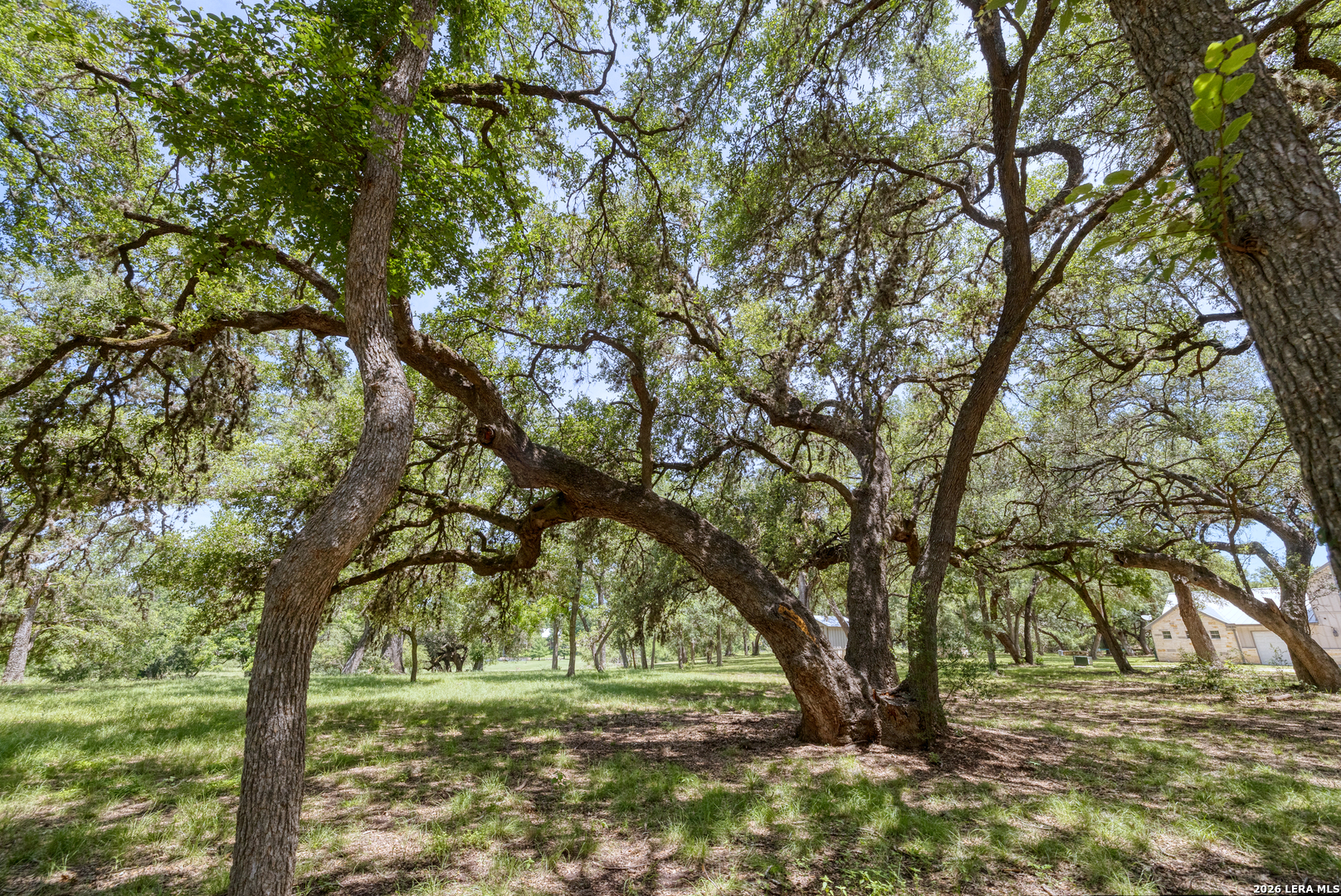382 ARBOLES Court Concan, TX 78838 - Photo 52 of 64