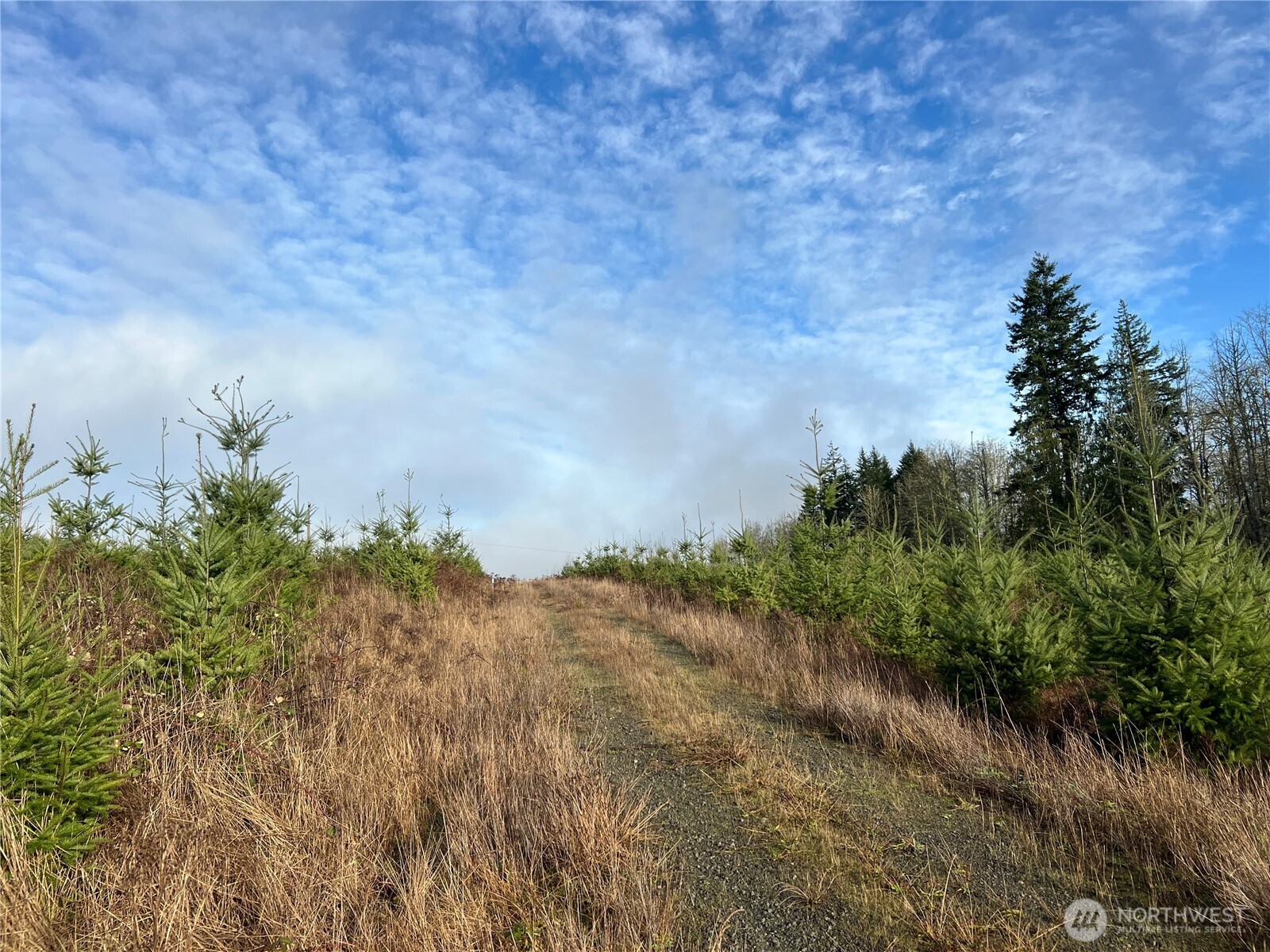2-xxx Snow Creek Road Quilcene, WA 98376 - Photo 6 of 29
