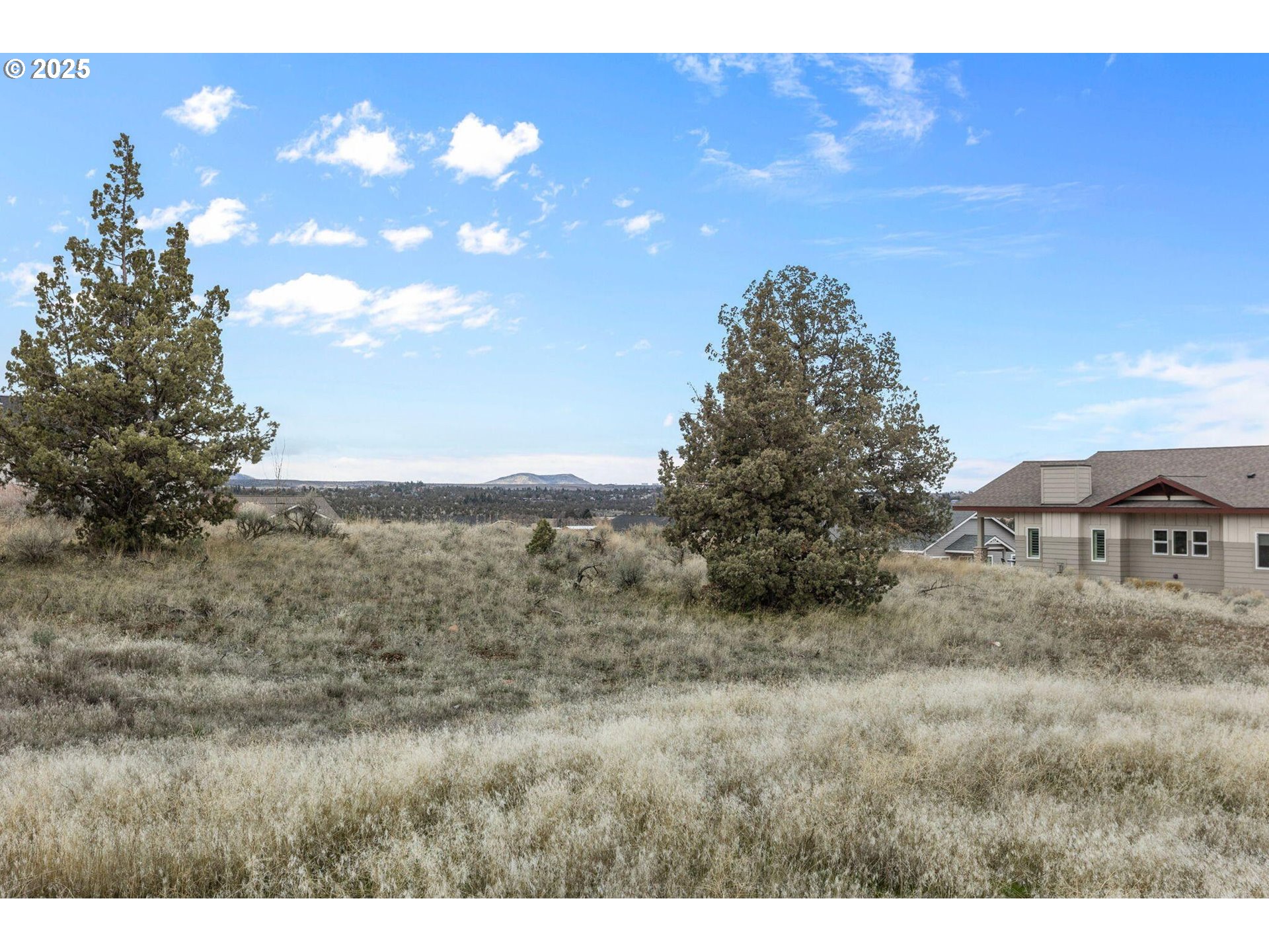 Southeast Greenleaf Lane Madras, OR 97741 - Photo 11 of 12 a view of a dry yard with trees