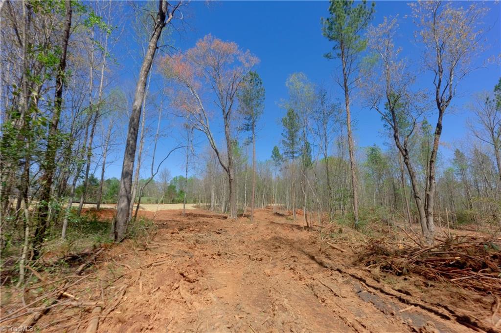 3 Alexander Farm Road Harmony, NC 28634 - Photo 11 of 27