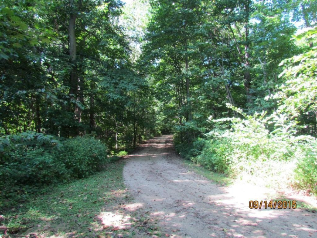 0 Franklin Road Berrien Center, MI 49102 - Photo 3 of 22 IMG_3196 (Medium)