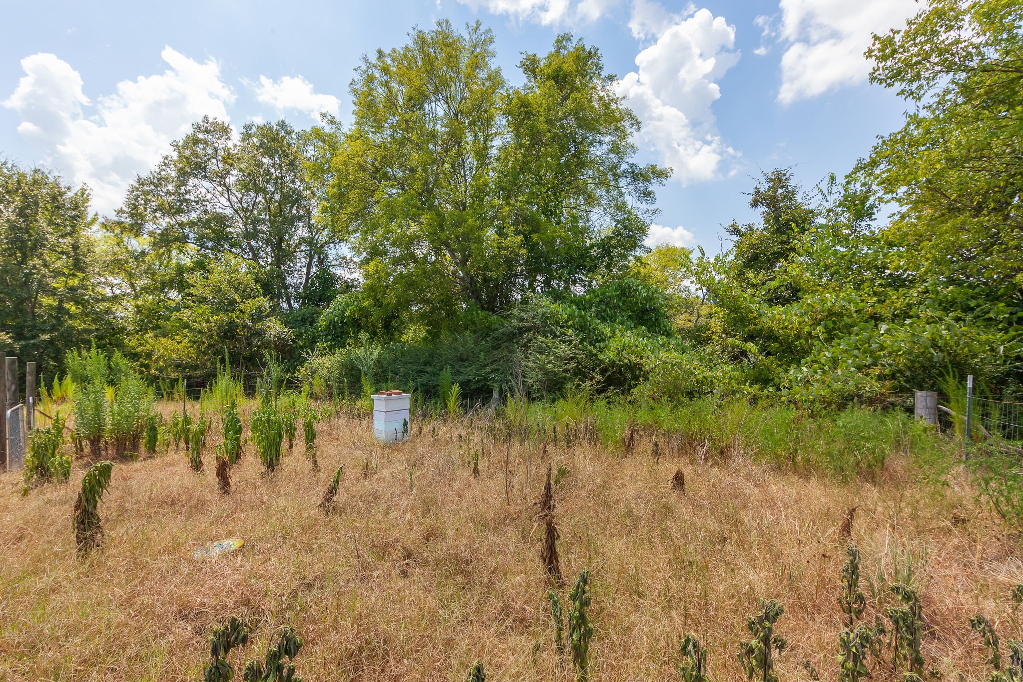 890 Fitts-Ross Road Bolivar, TN 38008 - Photo 50 of 53