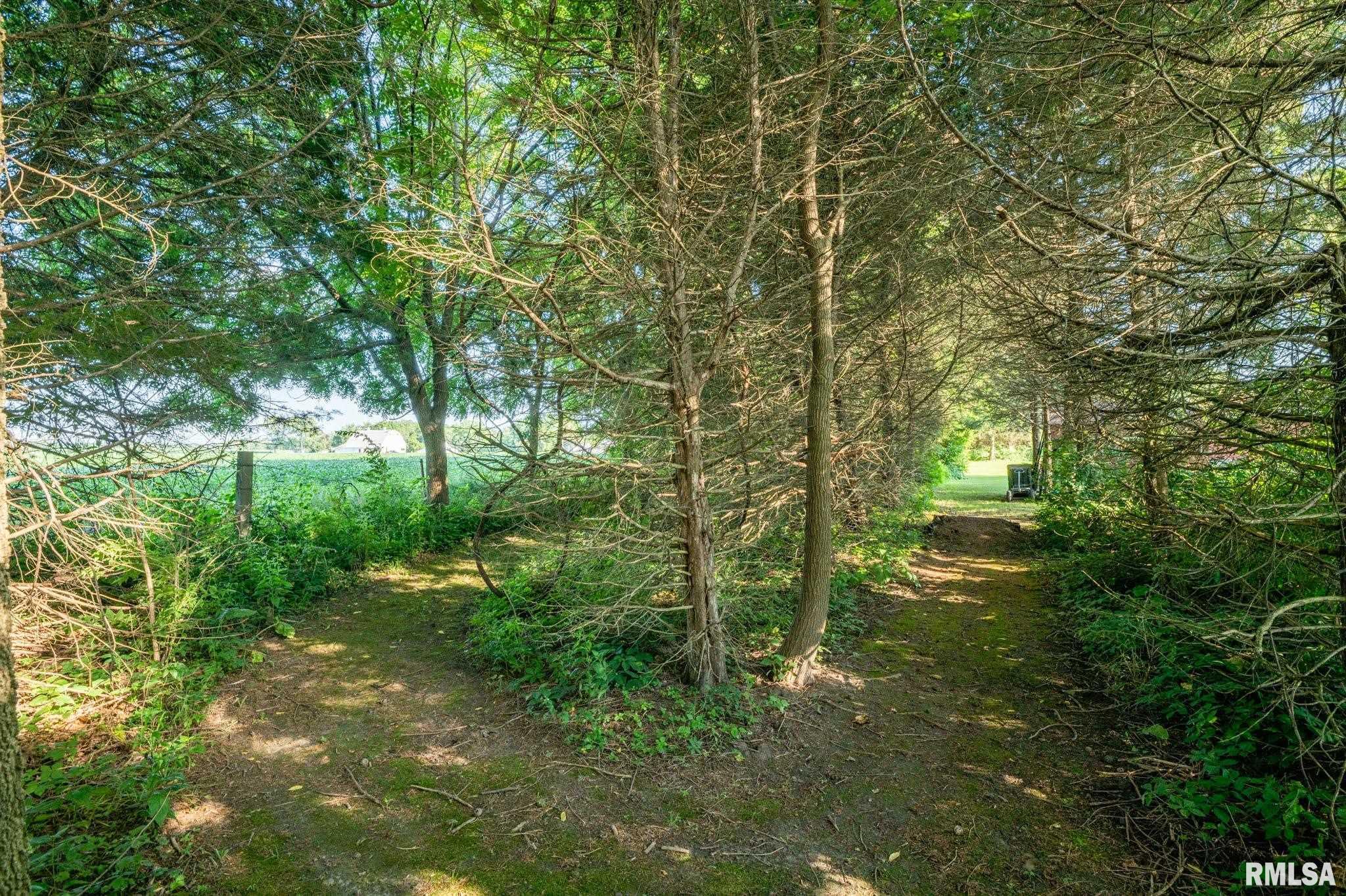 578 Northfork Road Metamora, IL 61548 - Photo 47 of 50