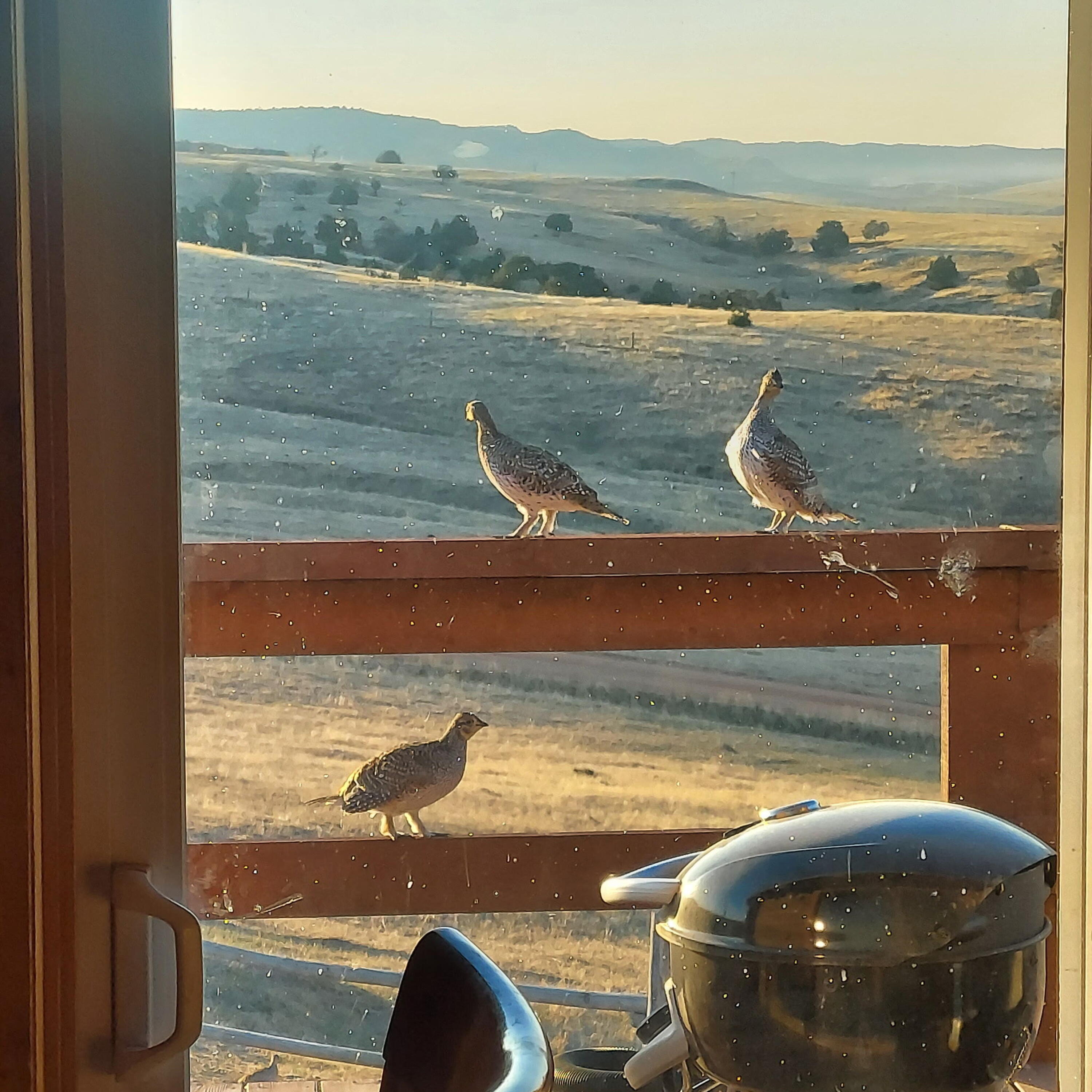 593 Lower Prairie Dog Road Sheridan, WY 82801 - Photo 54 of 142 1439254949095419259