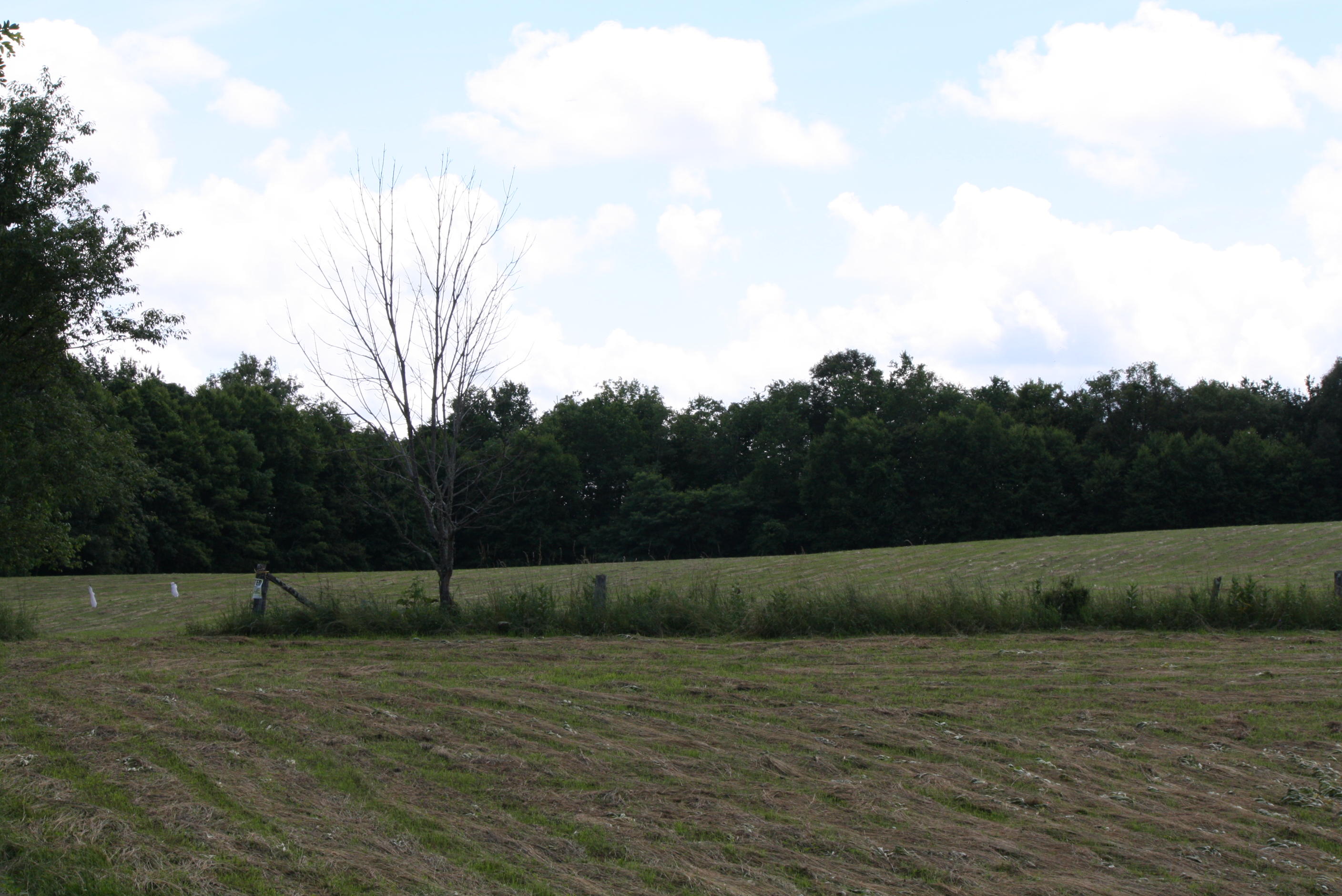 3296 Simms Mountain Road Rainelle, WV 25962 - Photo 106 of 119 Gallery Image 106