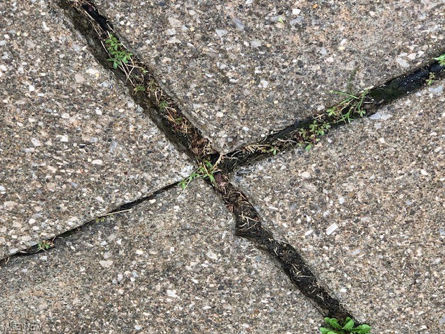 Driveway close up view 1