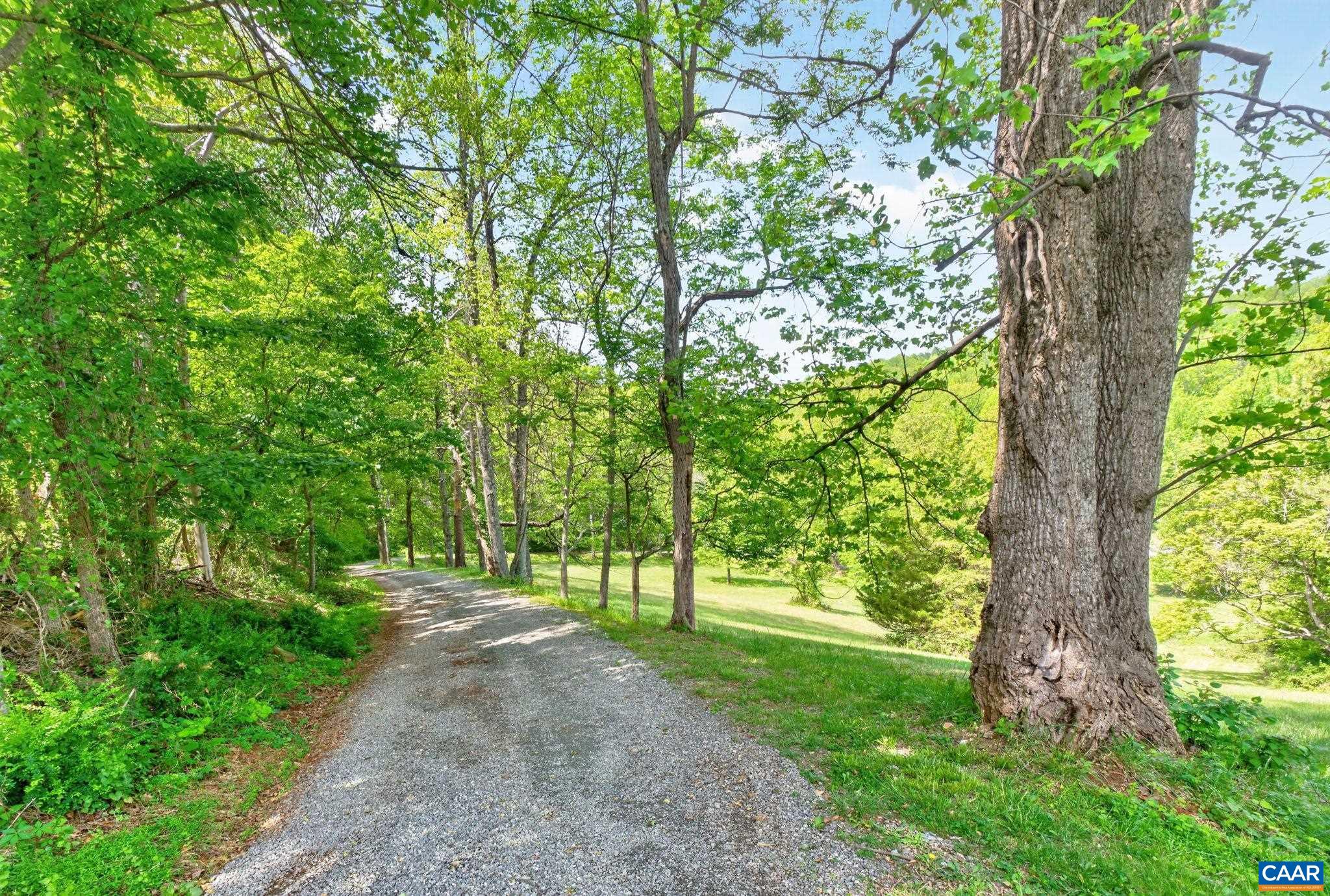 5407 Turkey Sag Road Keswick, VA 22947 - Photo 54 of 69