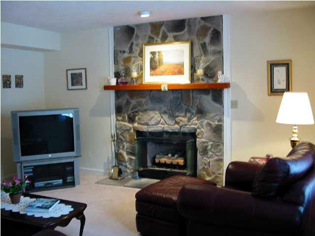 1 Tanglewood Road Palmyra, VA 22963 - Photo 2 of 7 a living room with furniture a flat screen tv and a fireplace