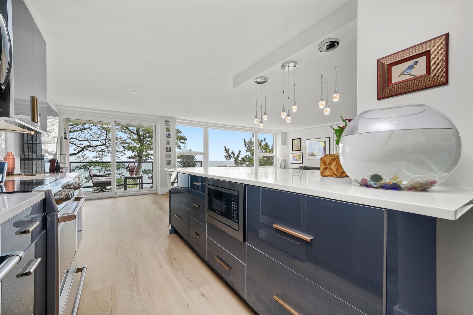 1630 Sheridan Road, Unit 2N Wilmette, IL 60091 - Photo 11 of 32 a kitchen with stainless steel appliances a sink a stove and a wooden floors